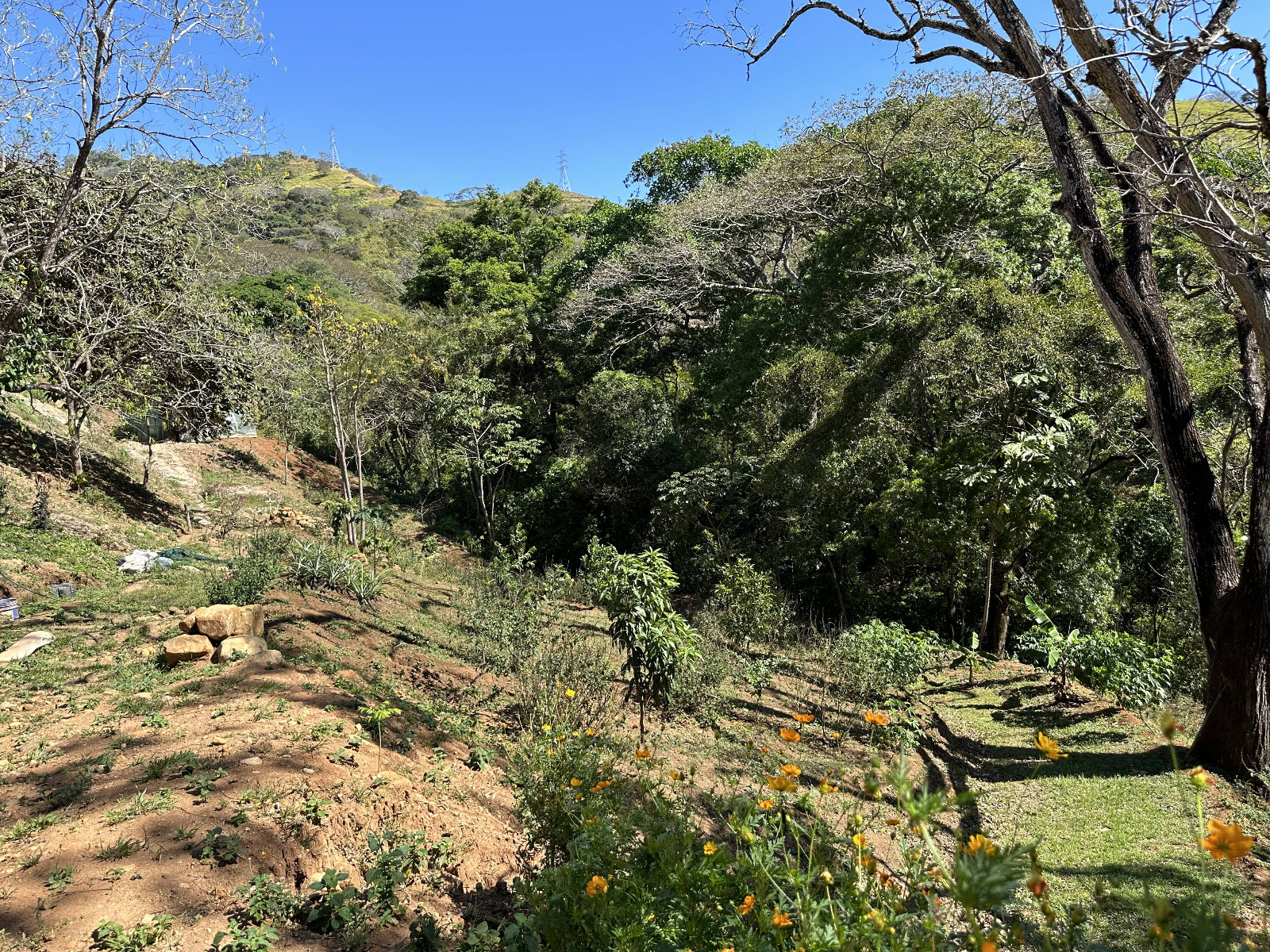 0 bed Land For Sale in Atenas, Alajuela - thumb 16