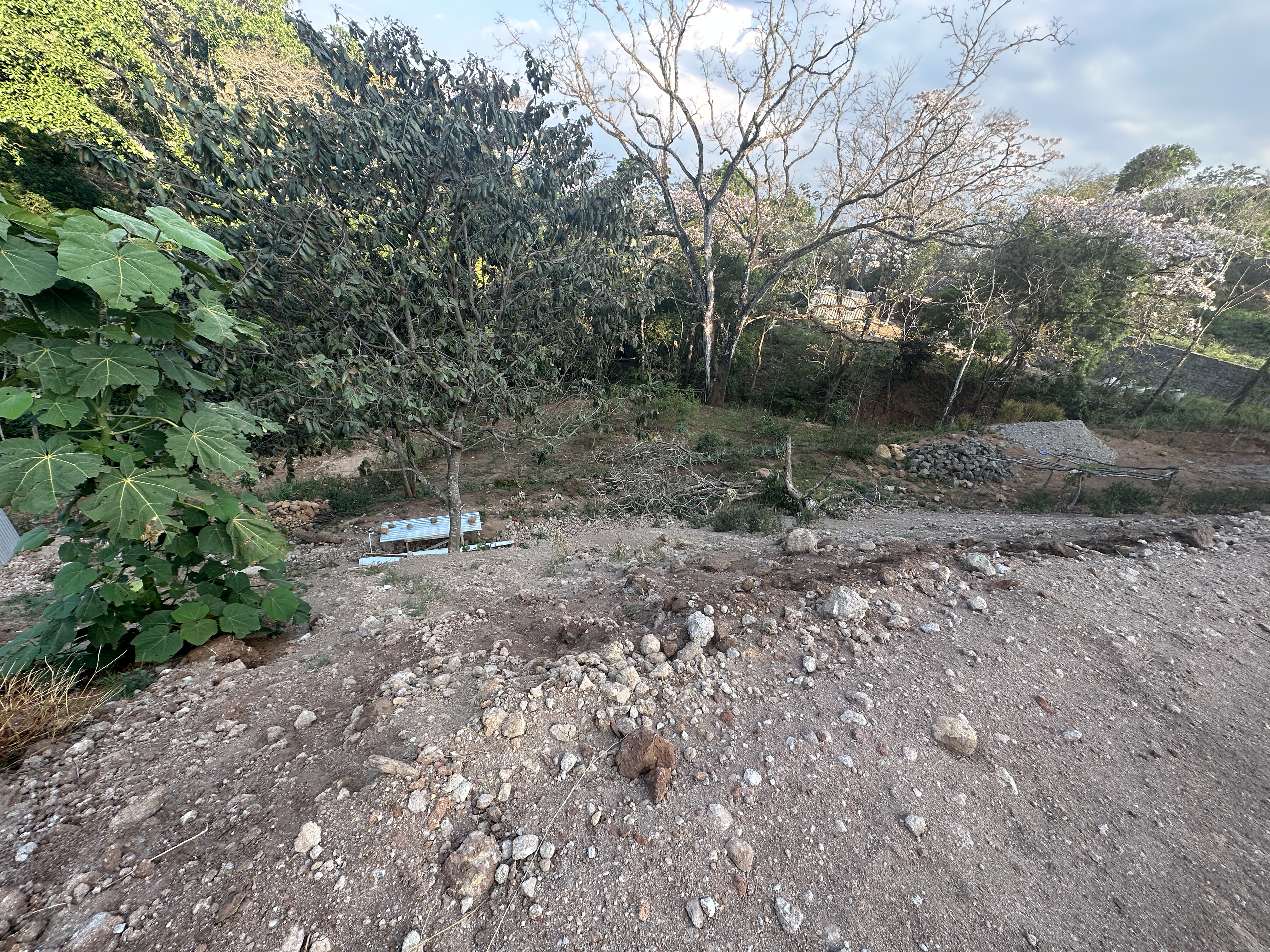 0 bed Land For Sale in Atenas, Alajuela - thumb 4