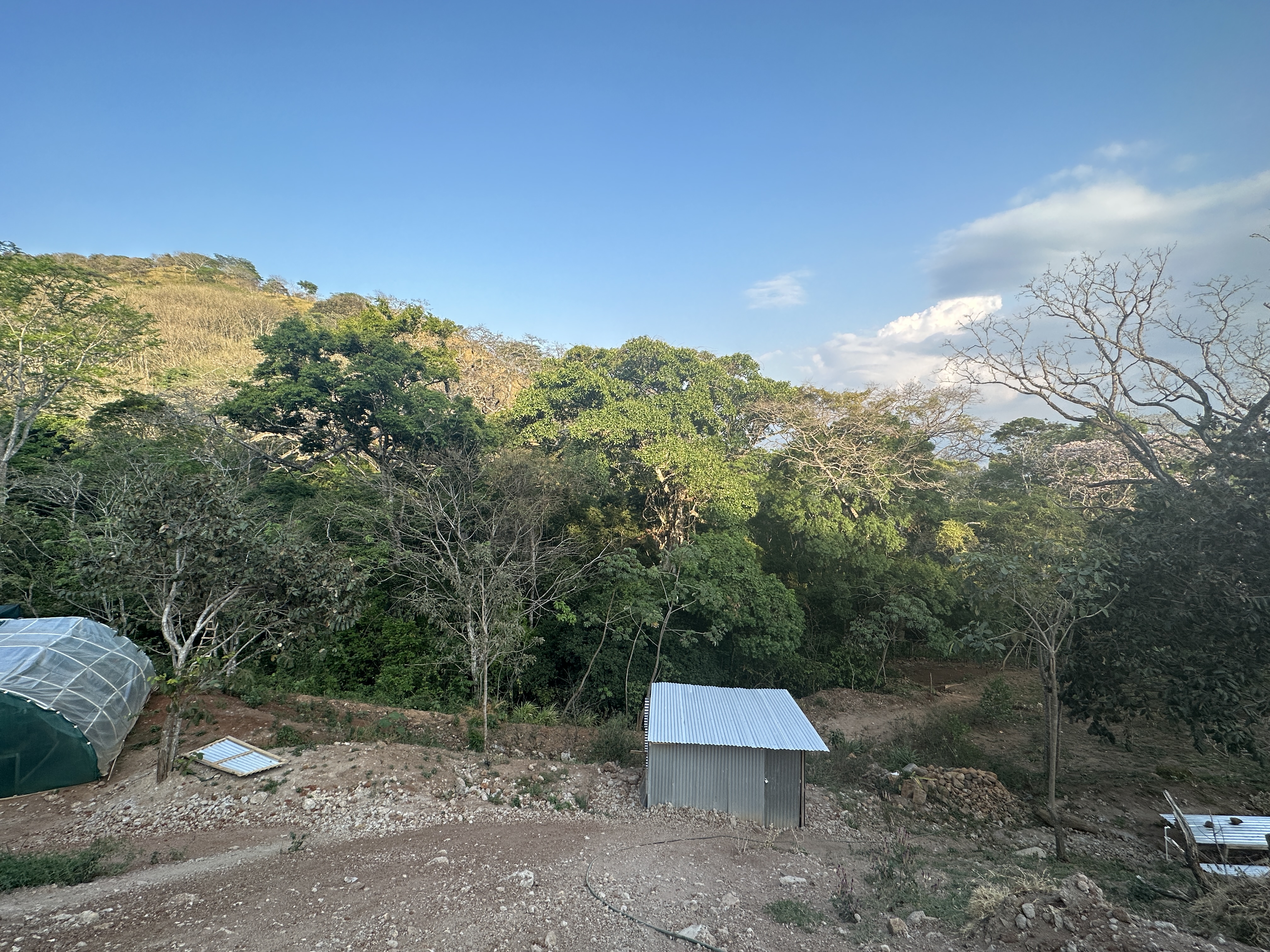 0 bed Land For Sale in Atenas, Alajuela - thumb 8