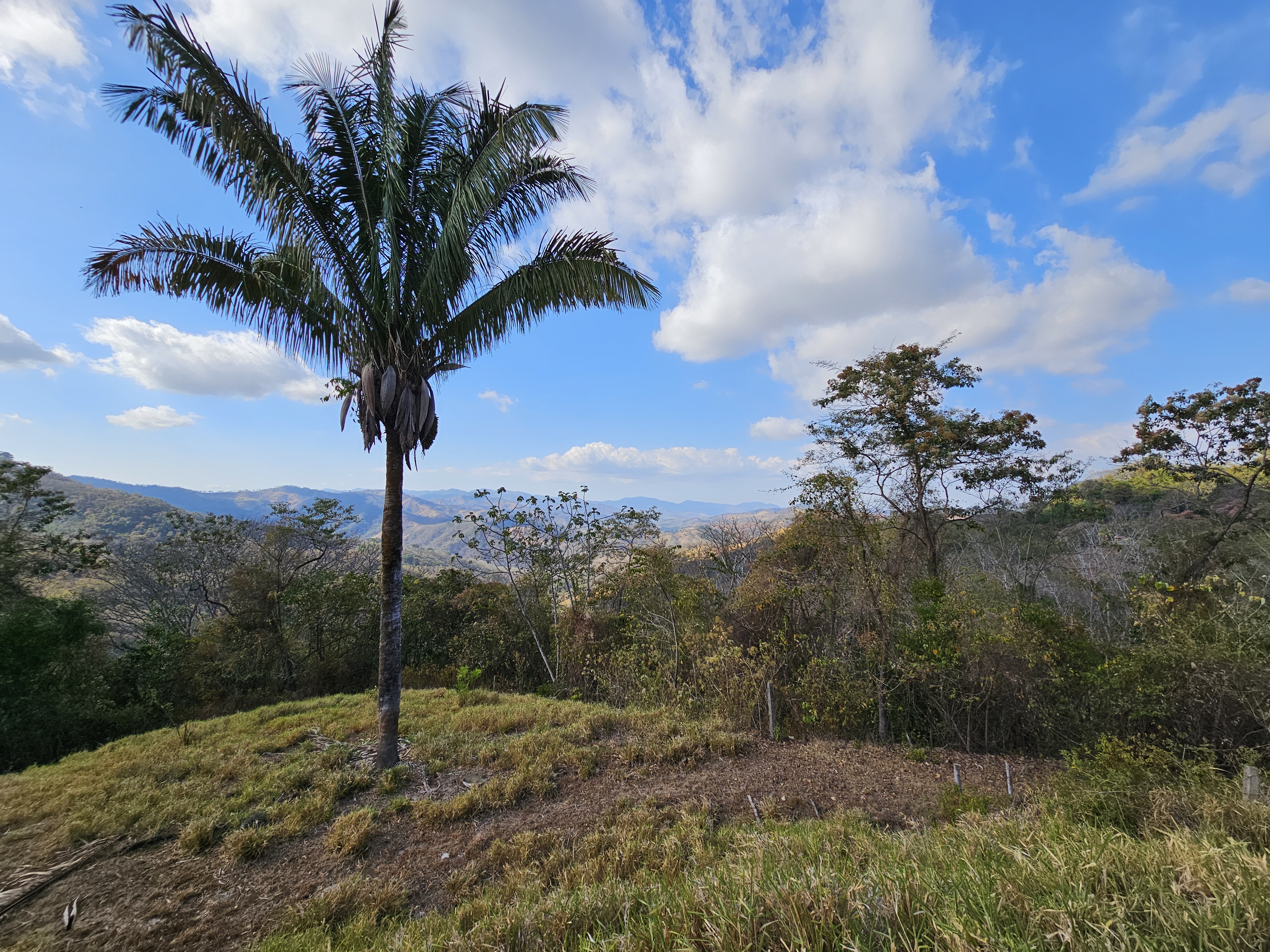 9 bed Land For Sale in Samara, Guanacaste - thumb 30
