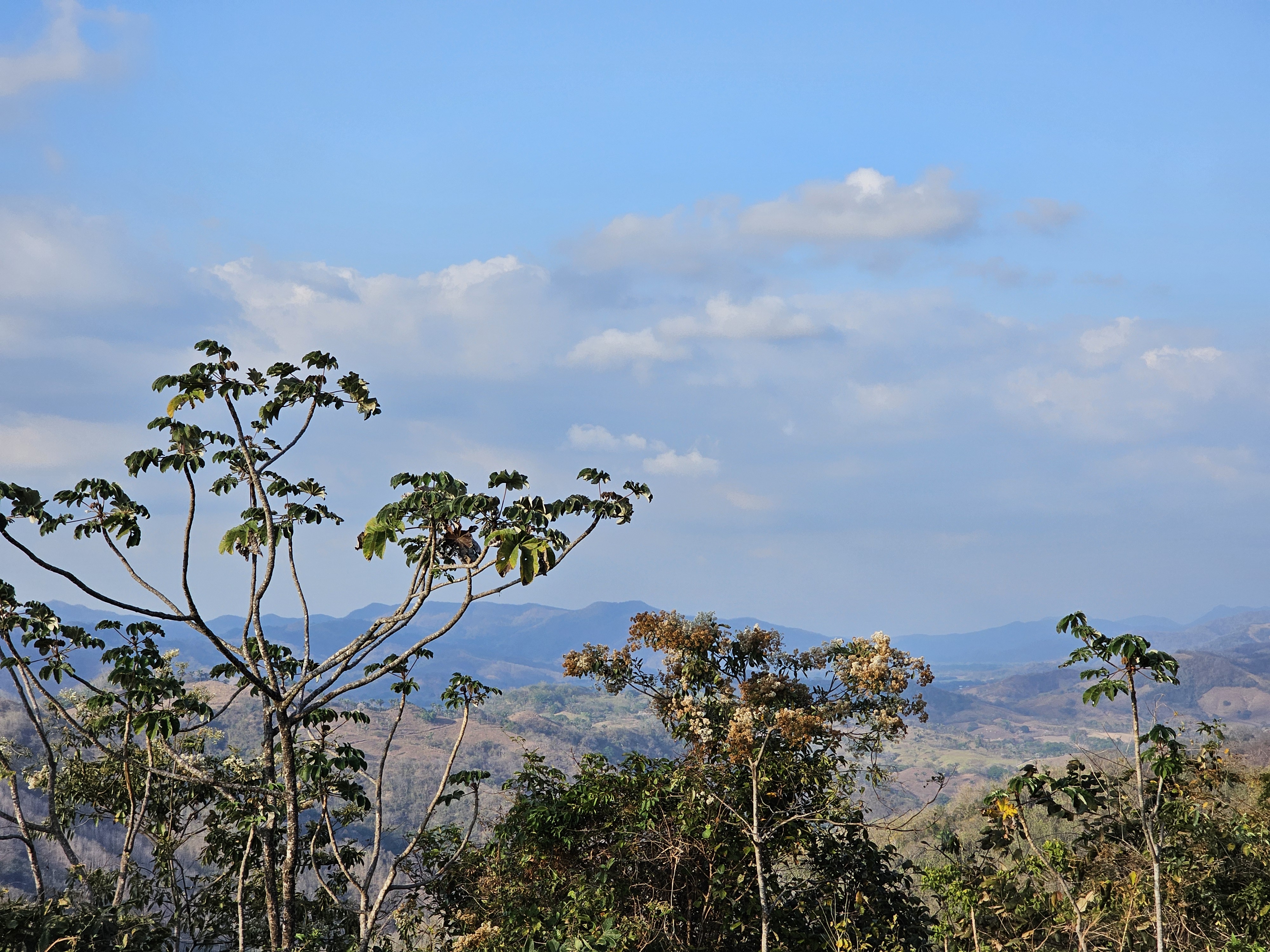 9 bed Land For Sale in Samara, Guanacaste - thumb 17