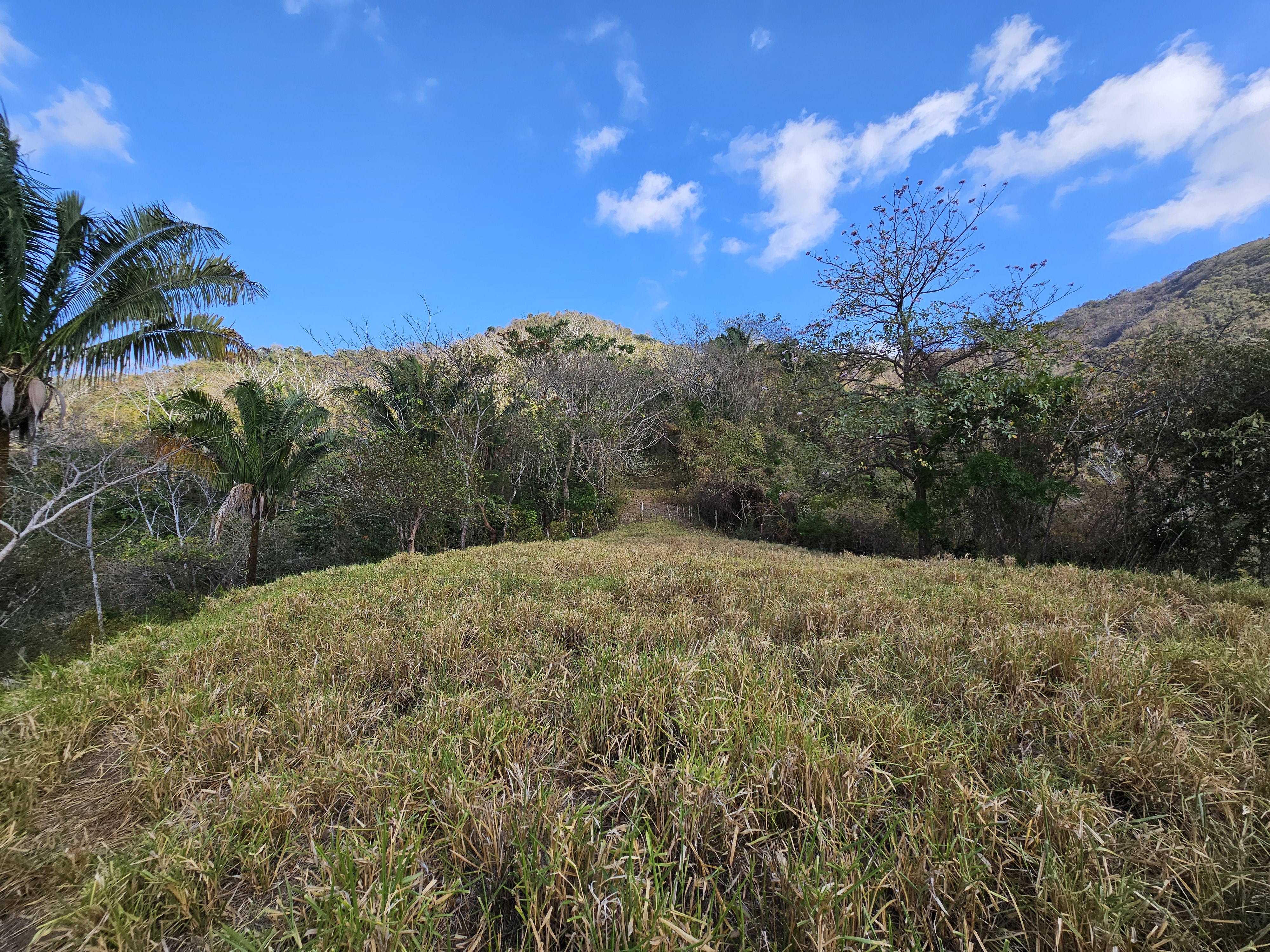 9 bed Land For Sale in Samara, Guanacaste - thumb 28