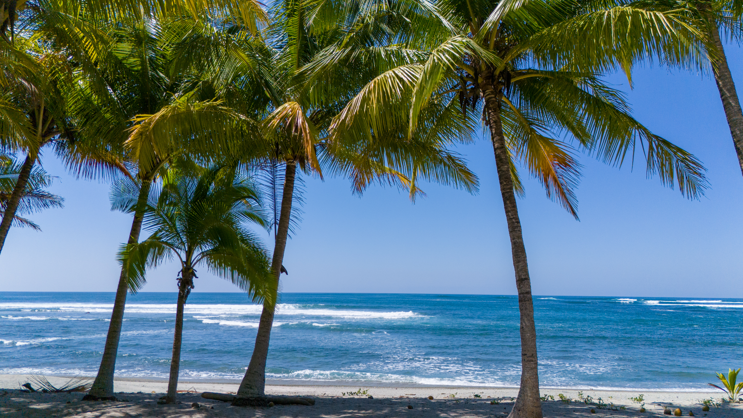 0 bed Land For Sale in Nosara, Guanacaste - thumb 21