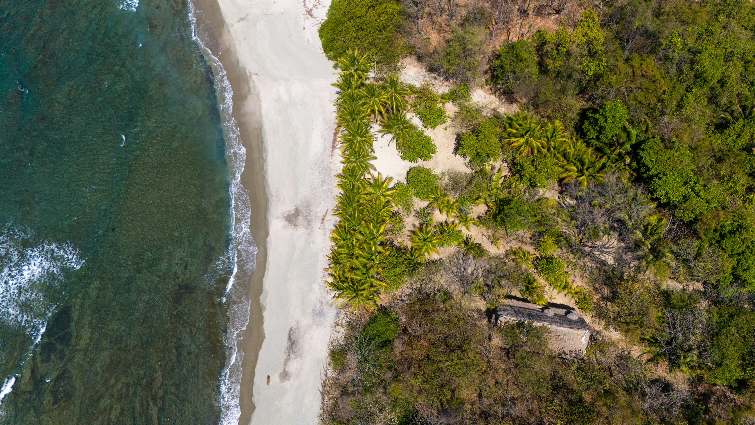 0 bed Land For Sale in Nosara, Guanacaste - thumb 15