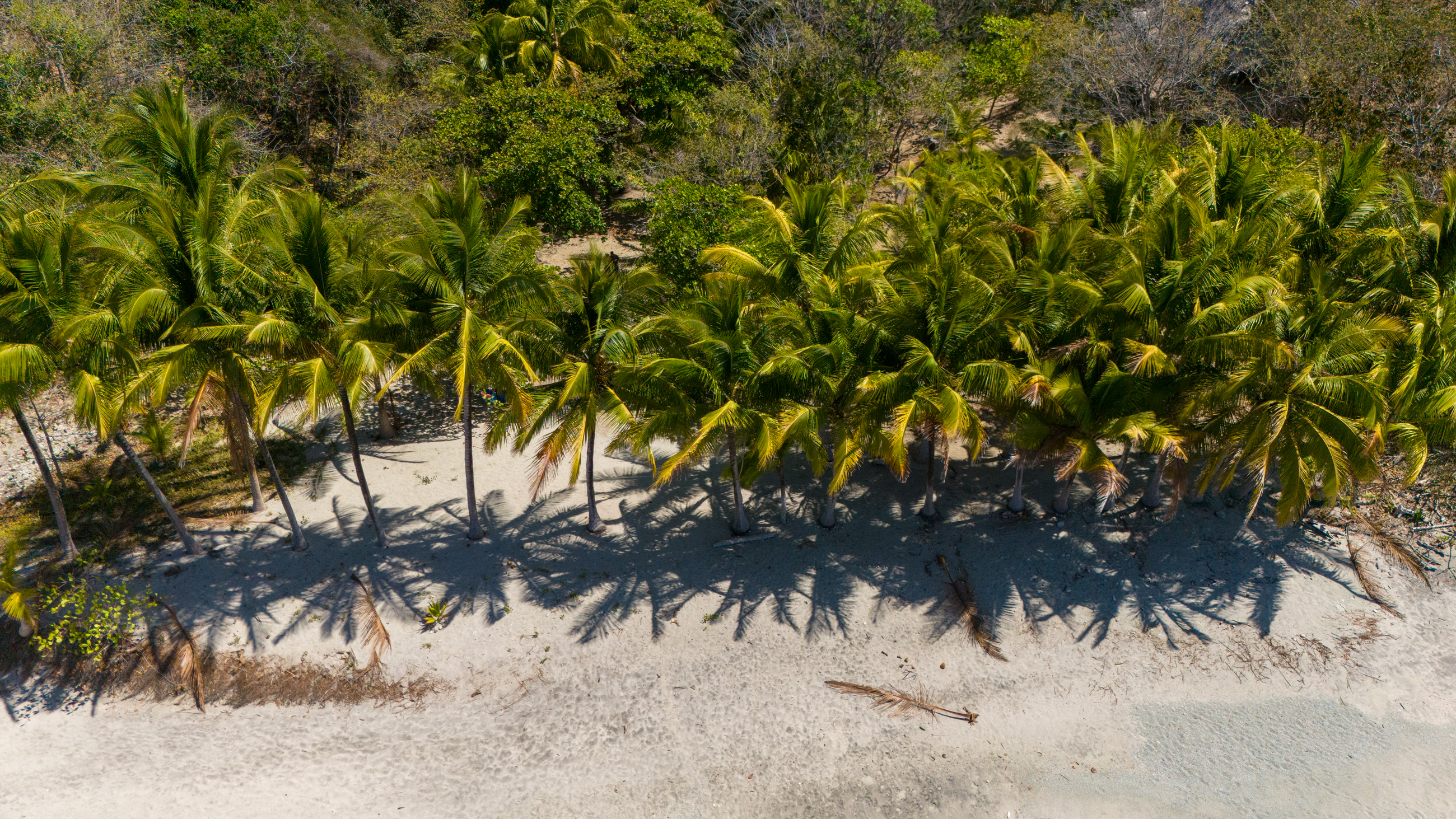 0 bed Land For Sale in Nosara, Guanacaste - thumb 19