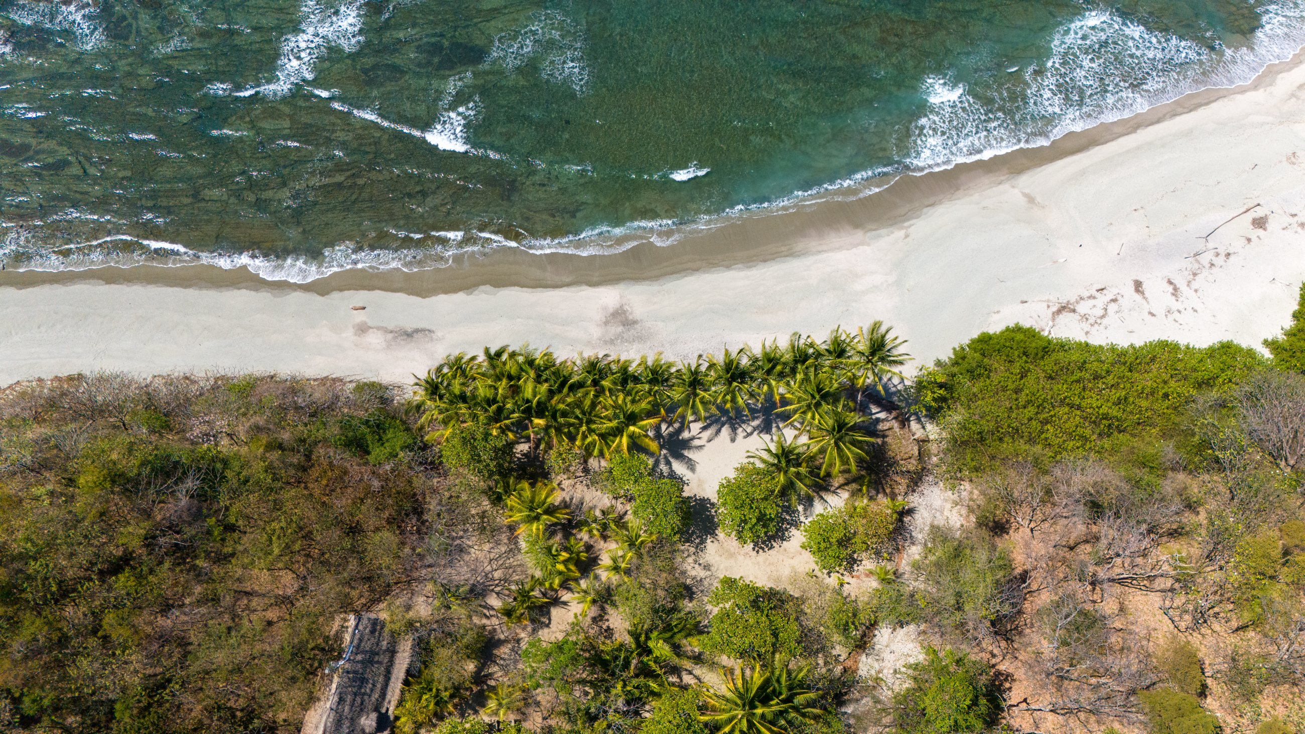 0 bed Land For Sale in Nosara, Guanacaste - thumb 16