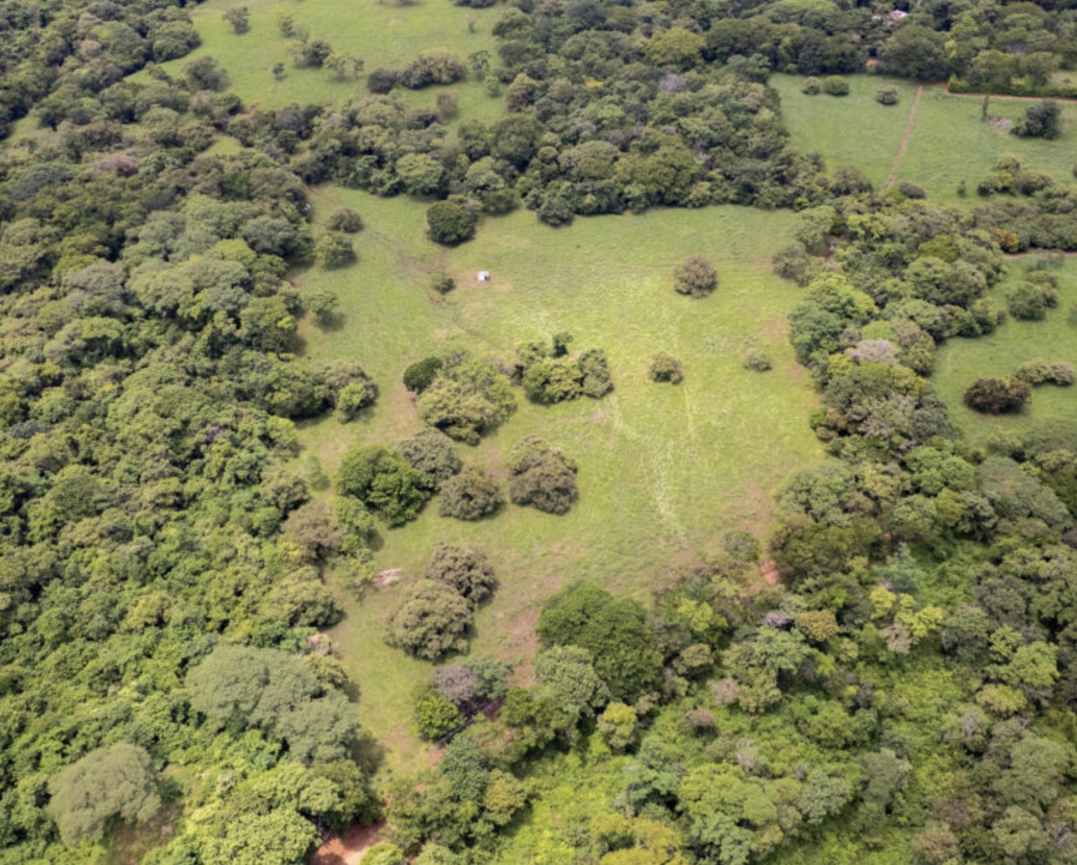 0 bed Land For Sale in Avellanas, Guanacaste - thumb 10