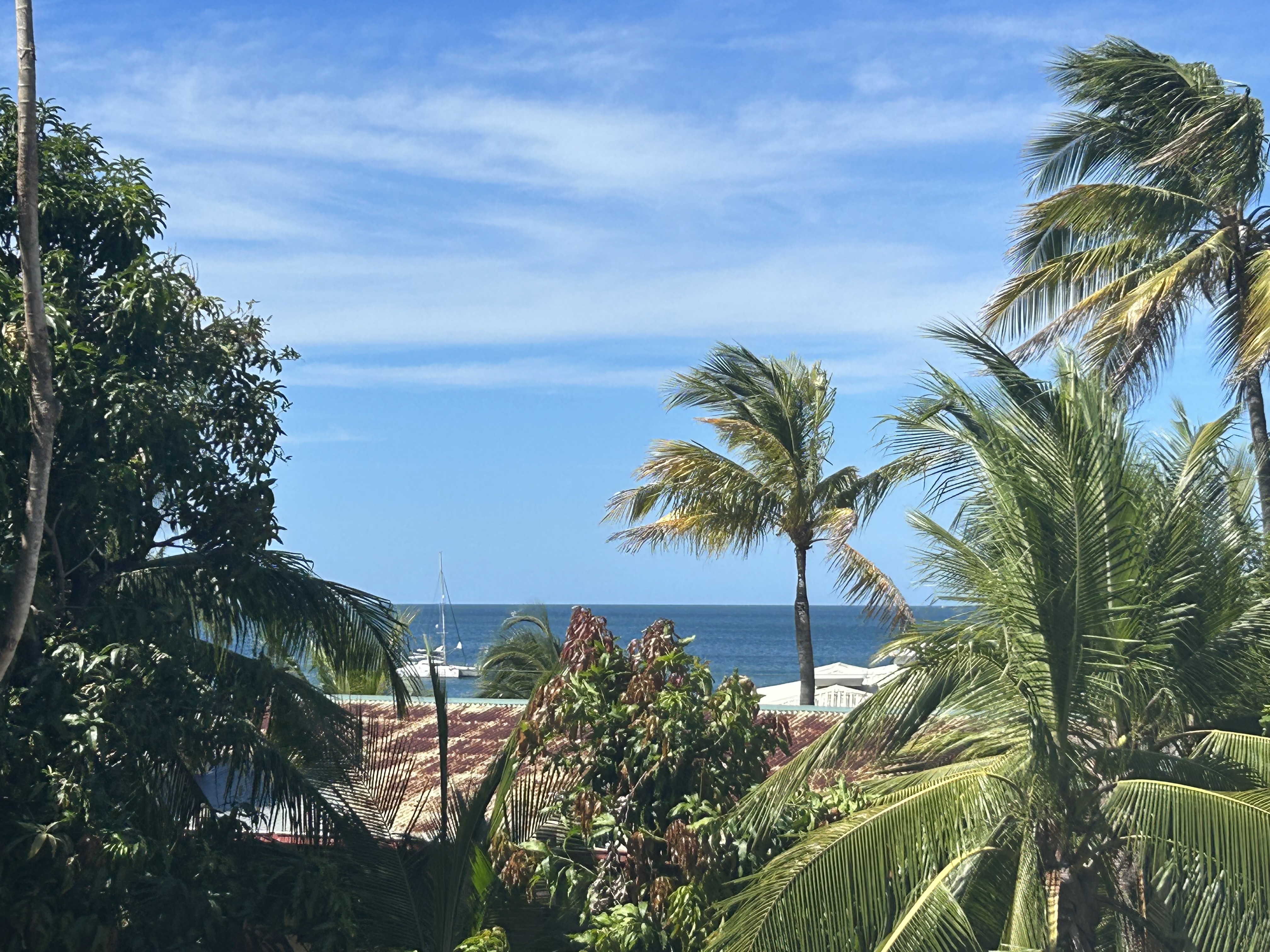 4 bed Single Family Homes For Sale in Playa Potrero, Guanacaste - thumb 1