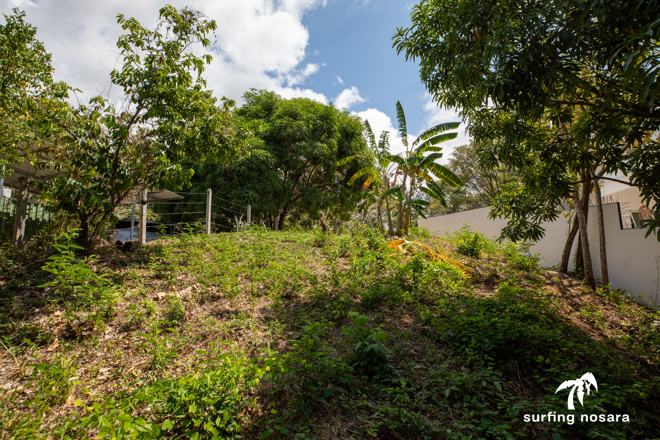 0 bed Land For Sale in Nosara, Guanacaste - thumb 5