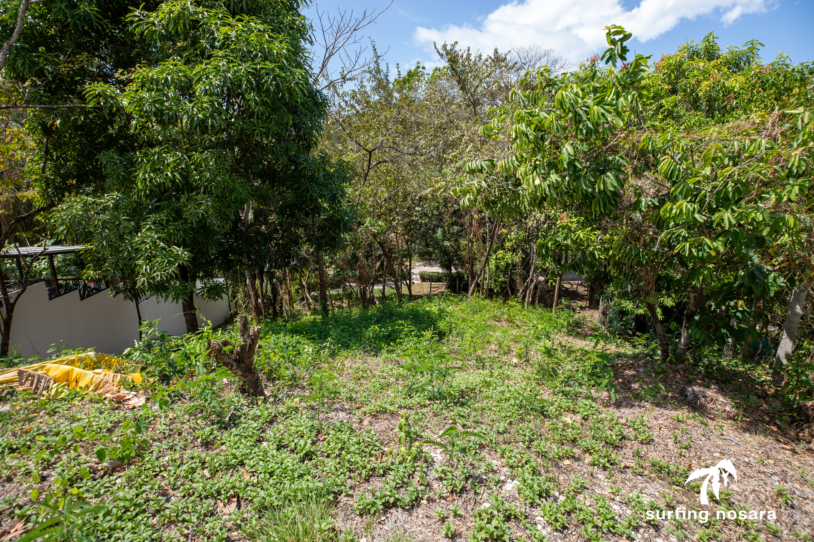 0 bed Land For Sale in Nosara, Guanacaste - thumb 4