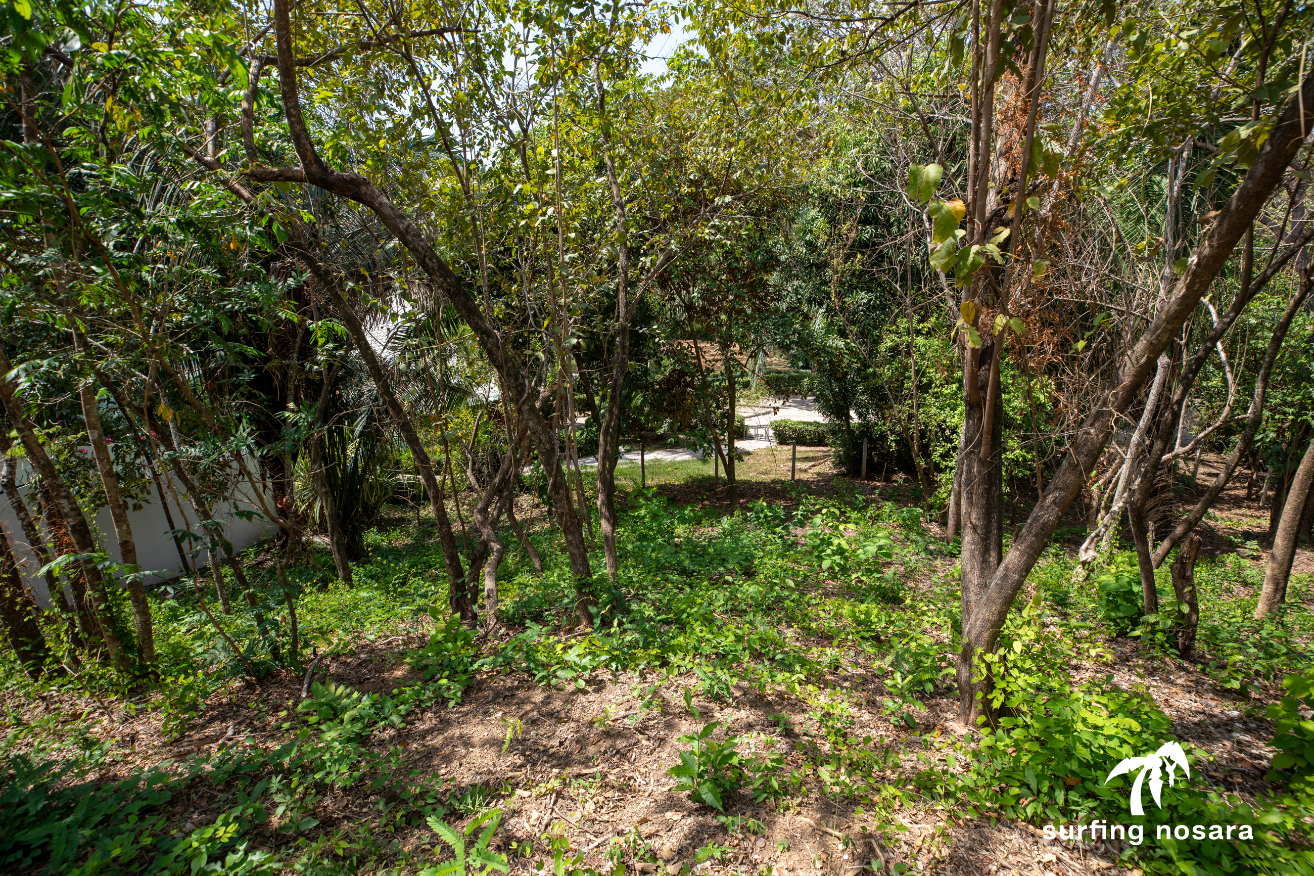 0 bed Land For Sale in Nosara, Guanacaste - thumb 1