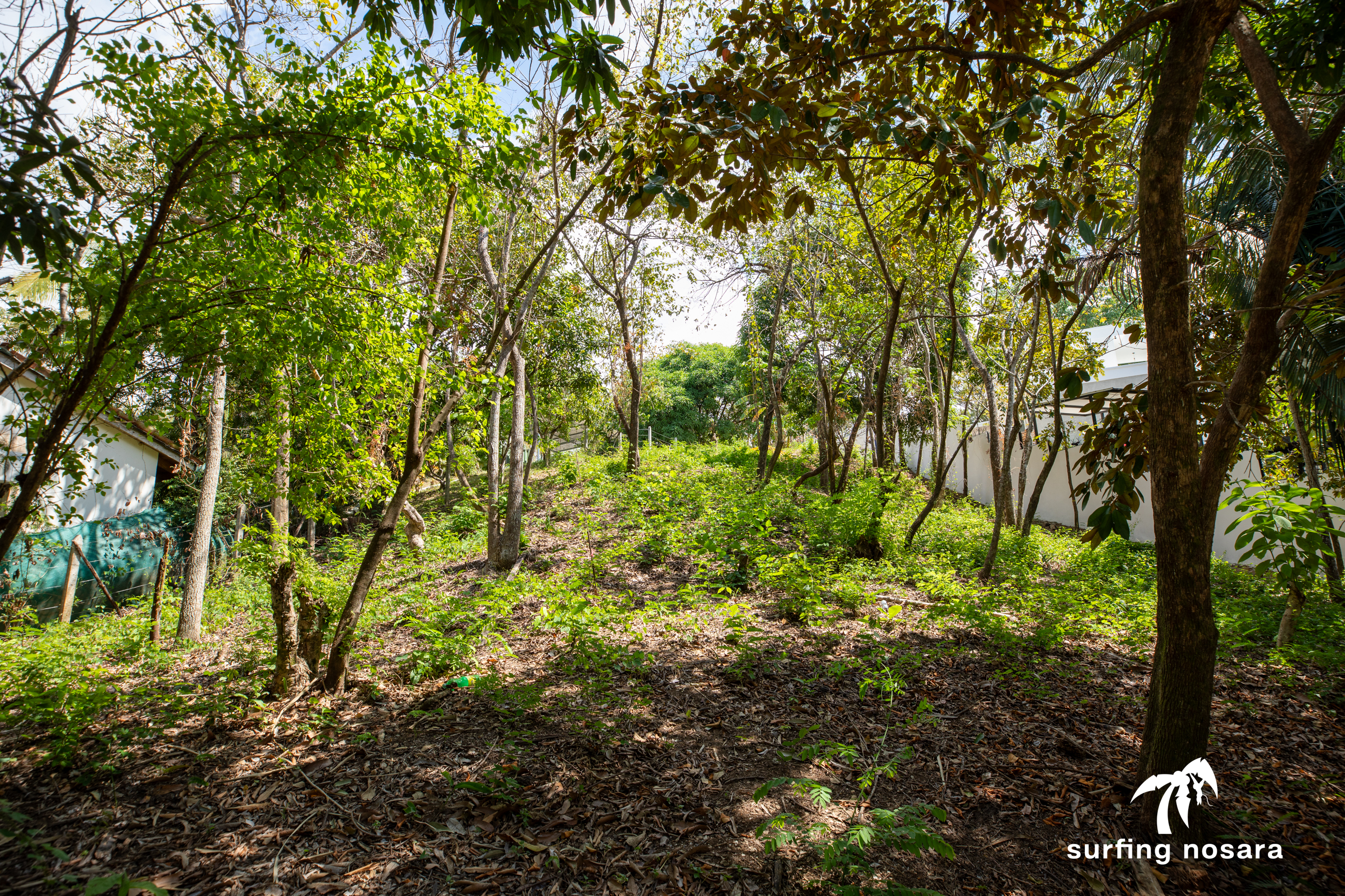 0 bed Land For Sale in Nosara, Guanacaste - thumb 7