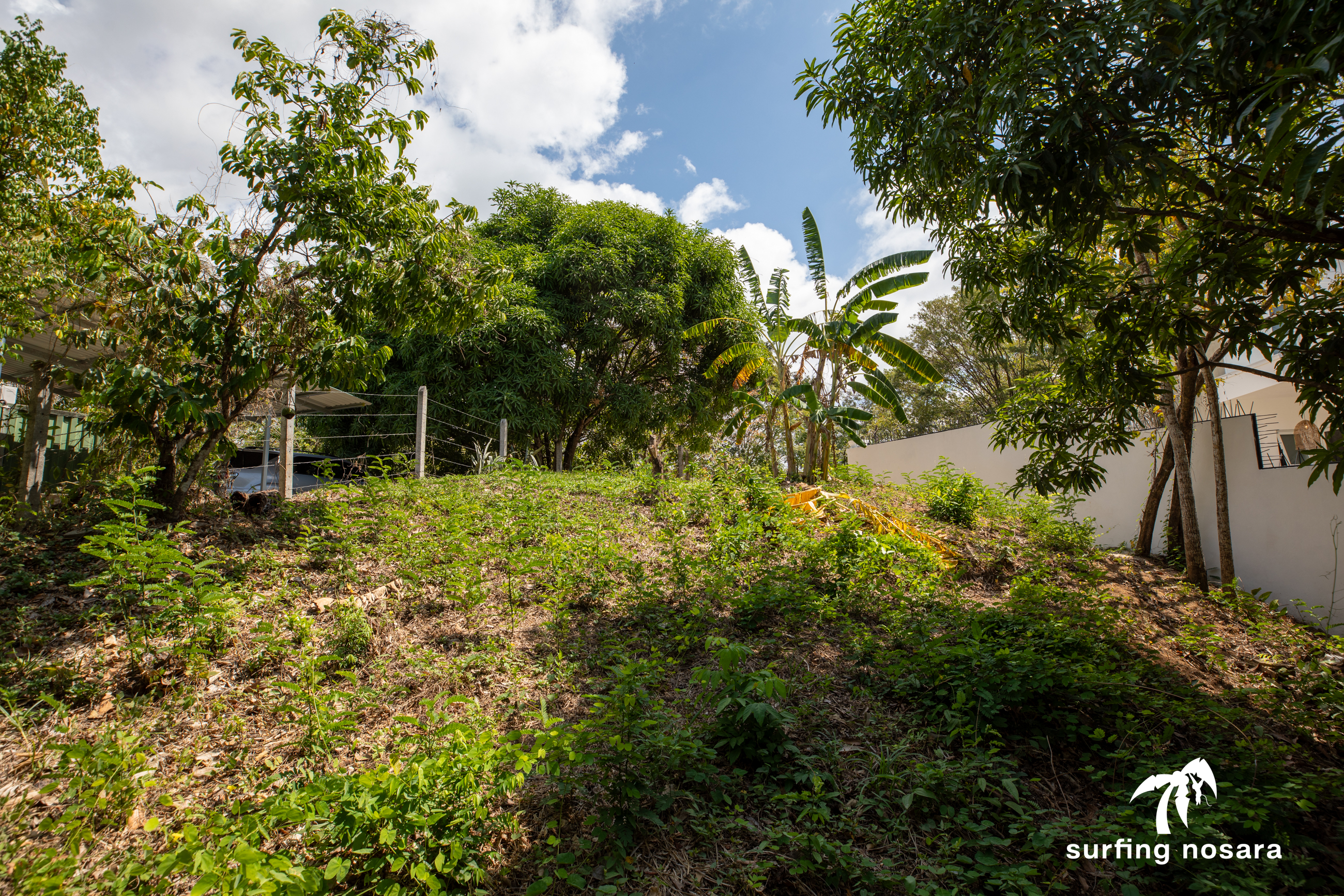 0 bed Land For Sale in Nosara, Guanacaste - thumb 6