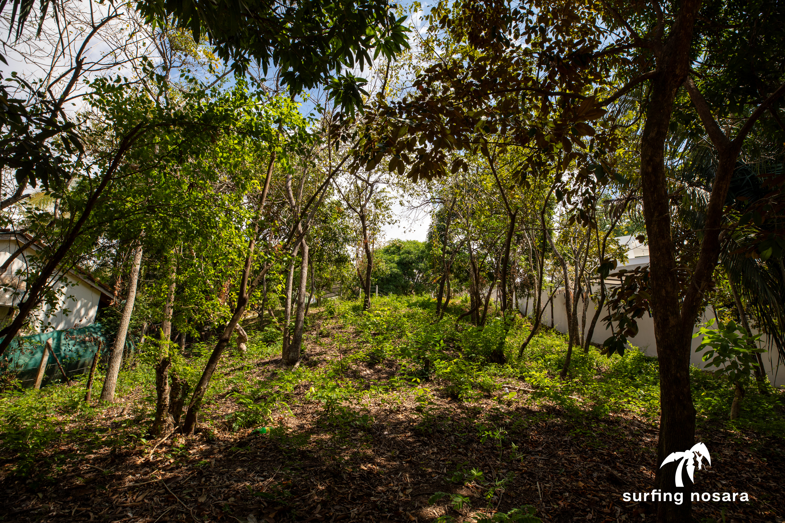 0 bed Land For Sale in Nosara, Guanacaste - thumb 8