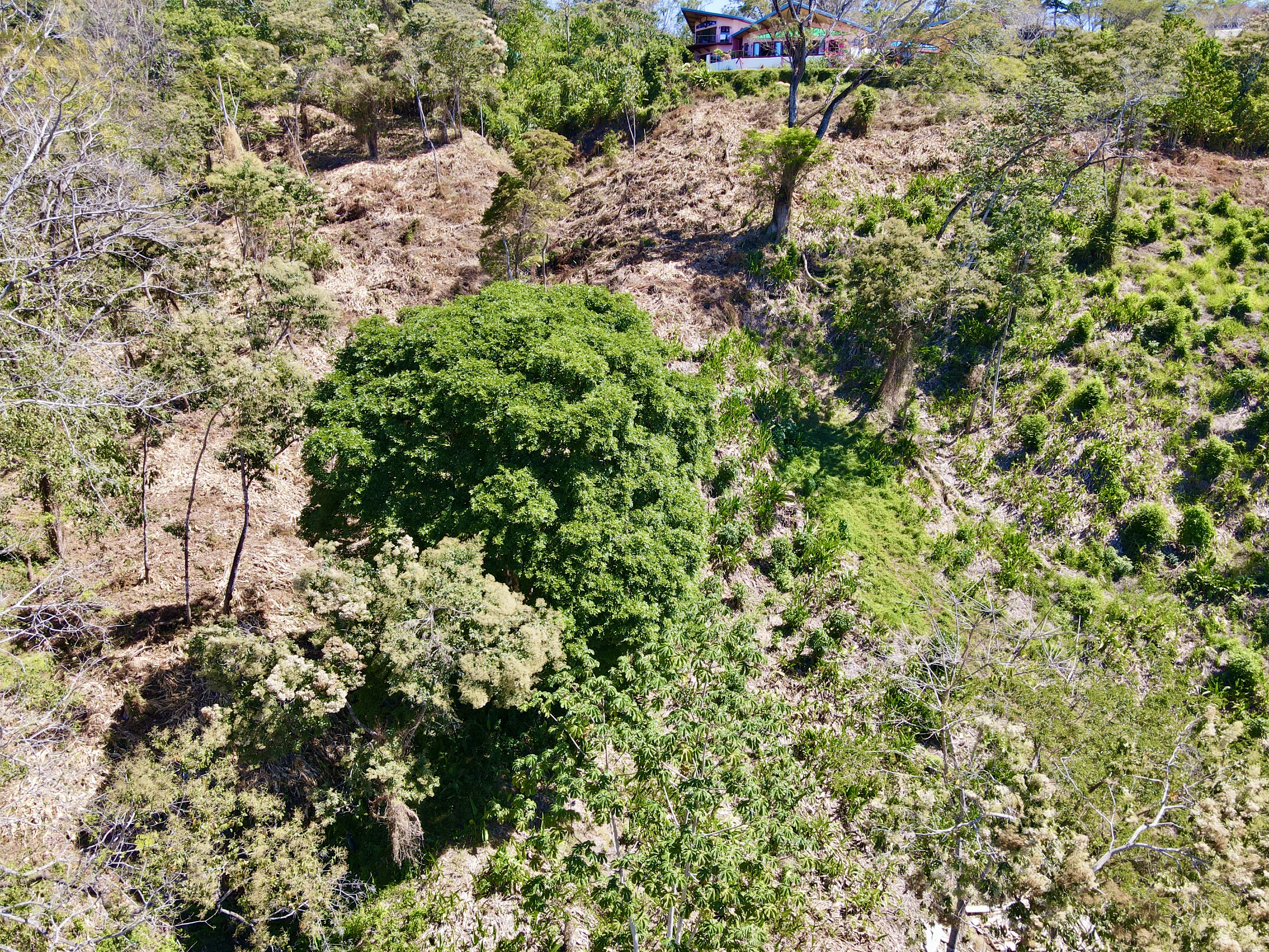0 bed Land For Sale in Santa Teresa, Puntarenas - thumb 4