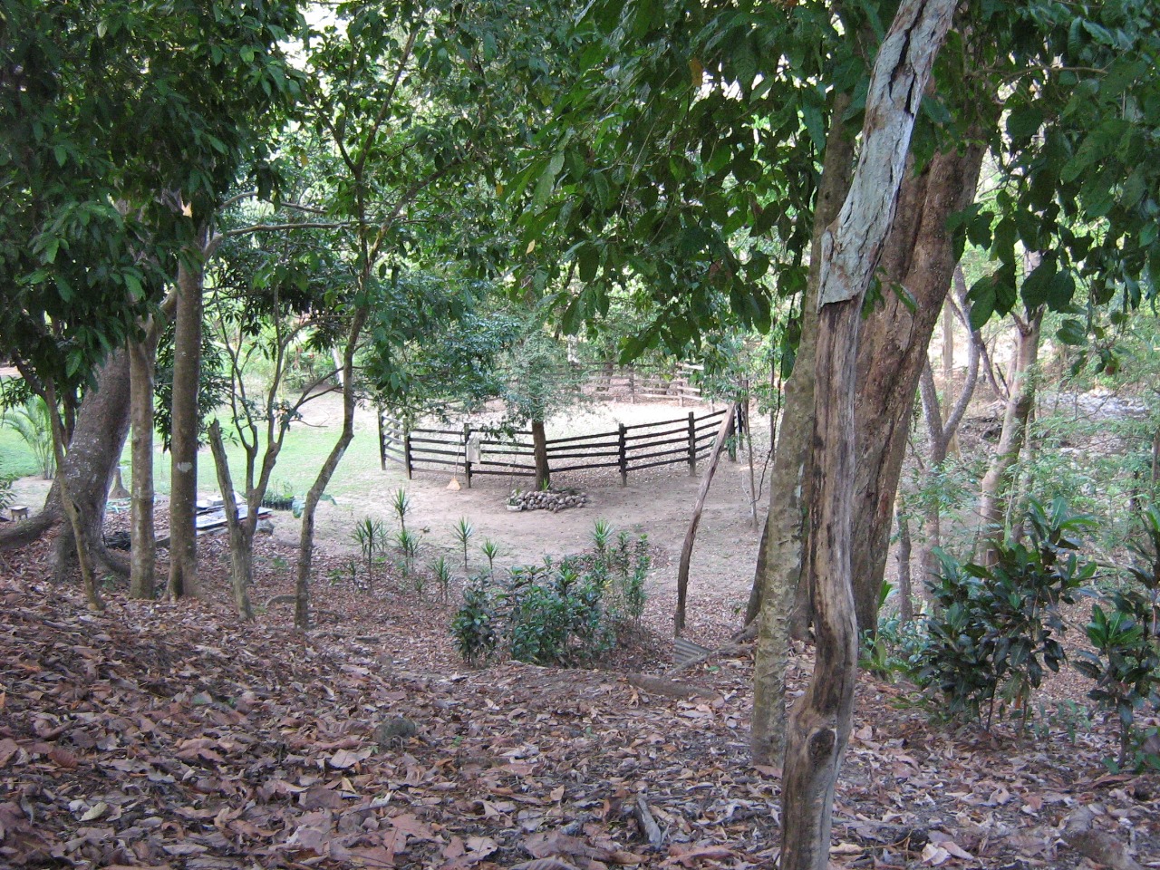 0 bed Land For Sale in Tambor, Puntarenas - thumb 1