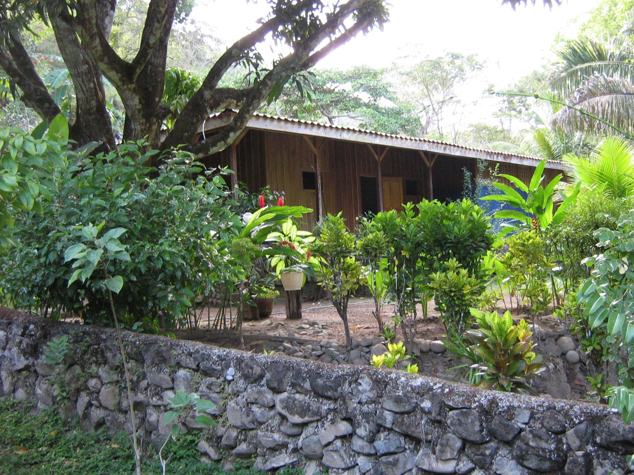 0 bed Land For Sale in Tambor, Puntarenas - thumb 4