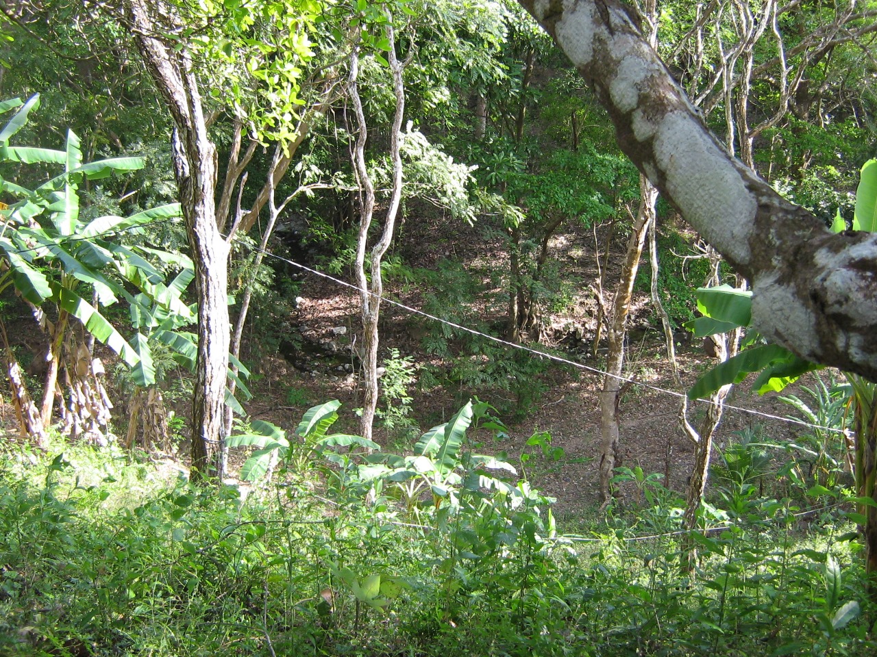 0 bed Land For Sale in Tambor, Puntarenas - thumb 3