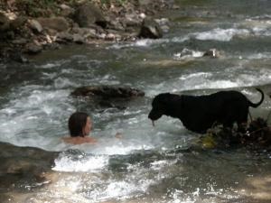 0 bed Land For Sale in Tambor, Puntarenas - thumb 9