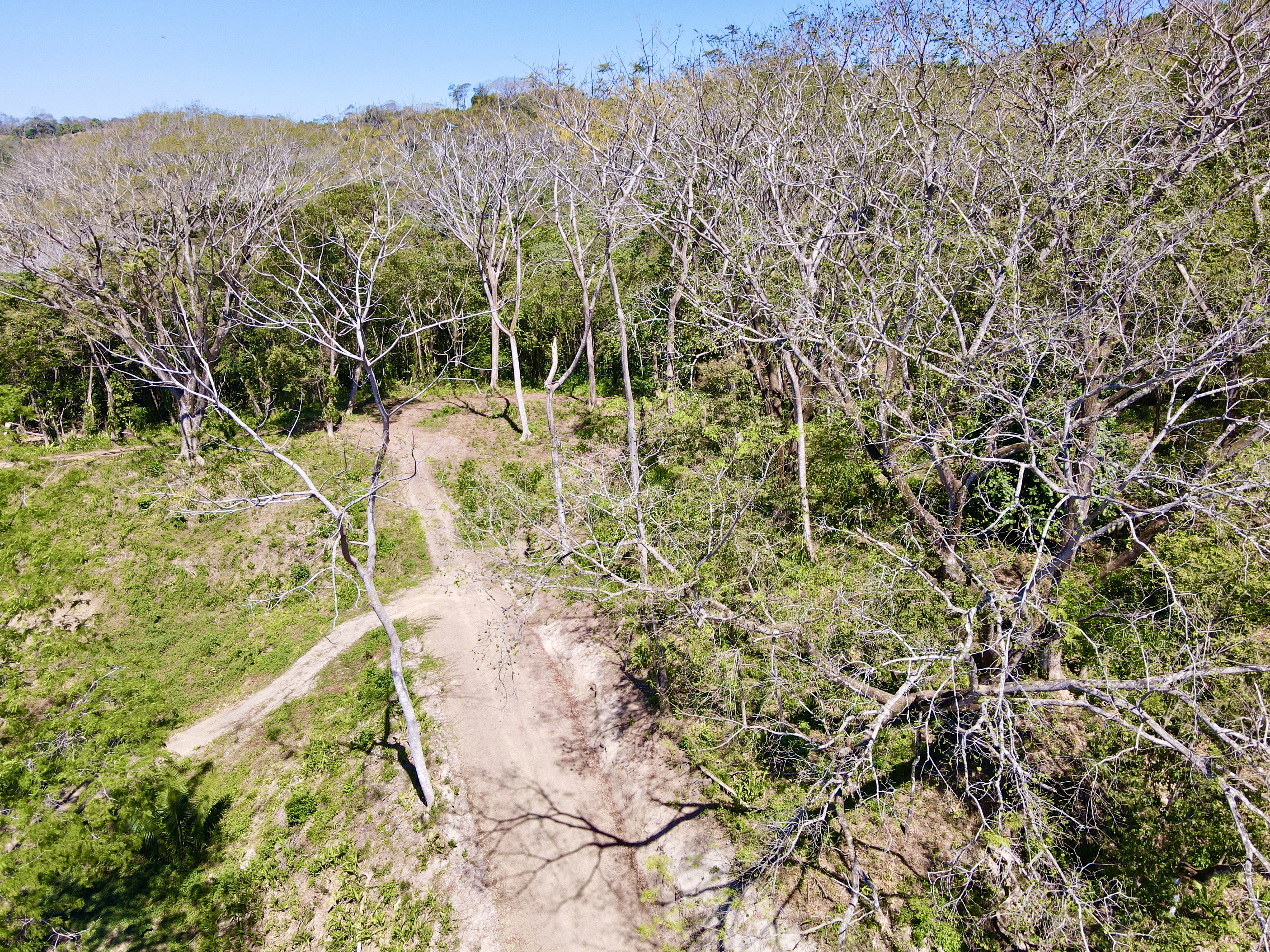 0 bed Land For Sale in Santa Teresa, Puntarenas - thumb 4