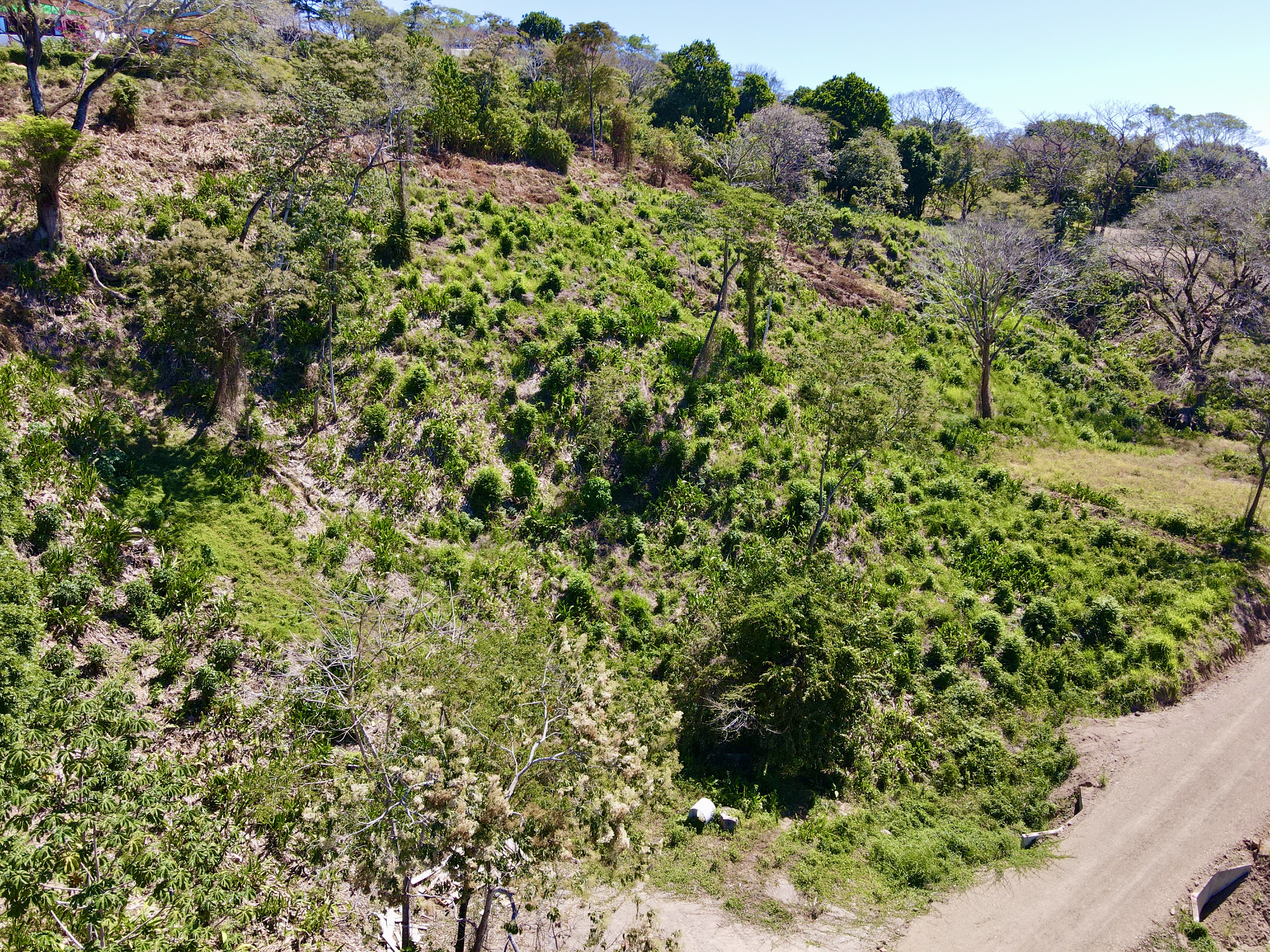 0 bed Land For Sale in Santa Teresa, Puntarenas - thumb 7