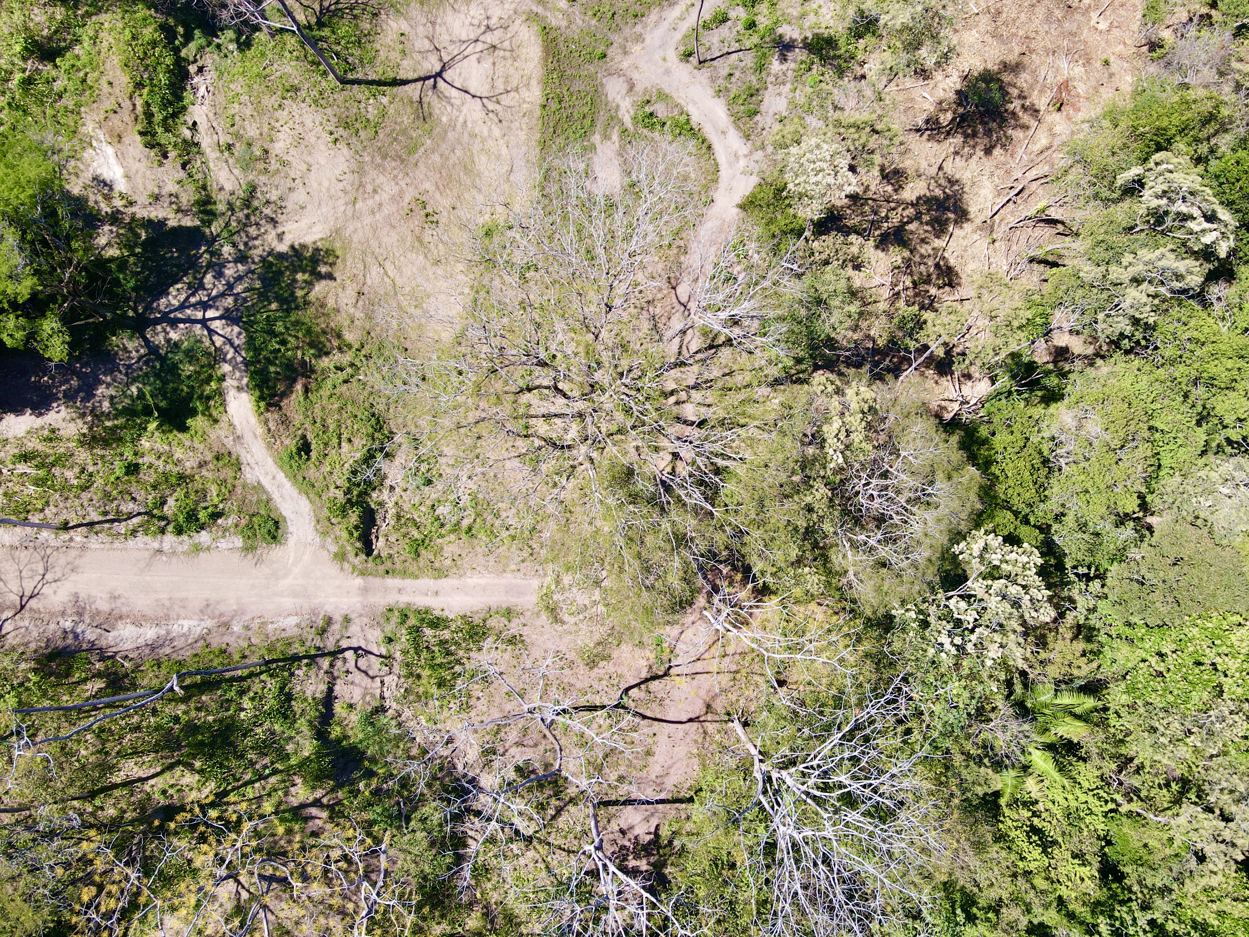 0 bed Land For Sale in Santa Teresa, Puntarenas - thumb 2