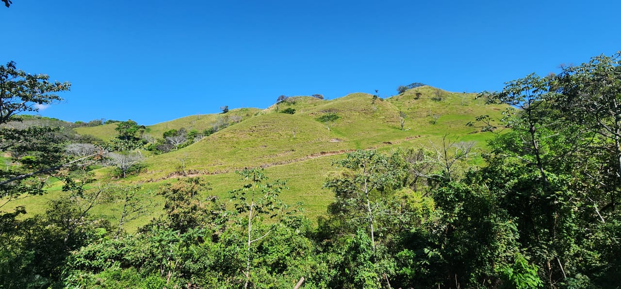 3 bed Single Family Homes For Sale in Atenas, Alajuela - thumb 13