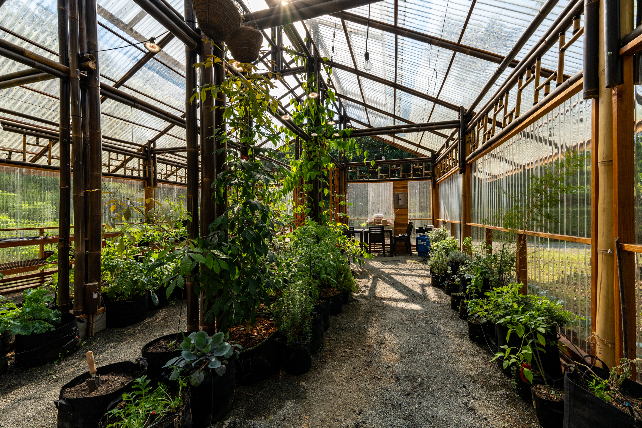 0 bed Land For Sale in Dominical, Puntarenas - thumb 18