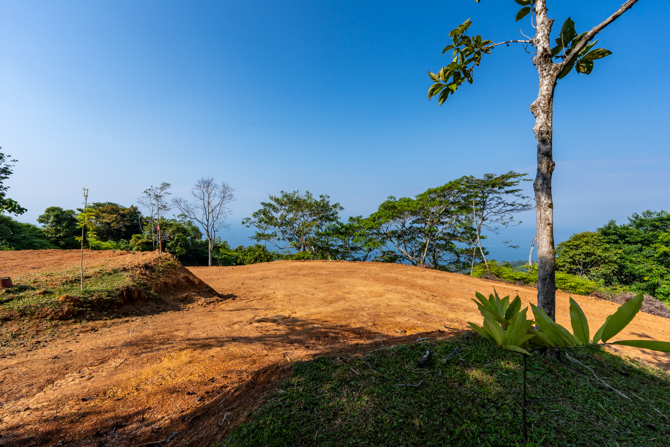 0 bed Land For Sale in Dominical, Puntarenas - thumb 24