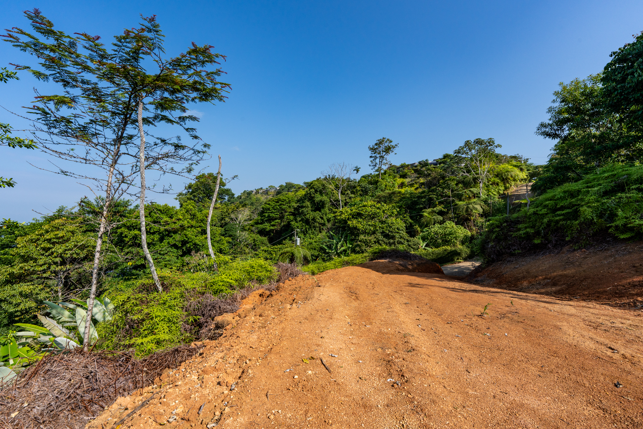 0 bed Land For Sale in Dominical, Puntarenas - thumb 26