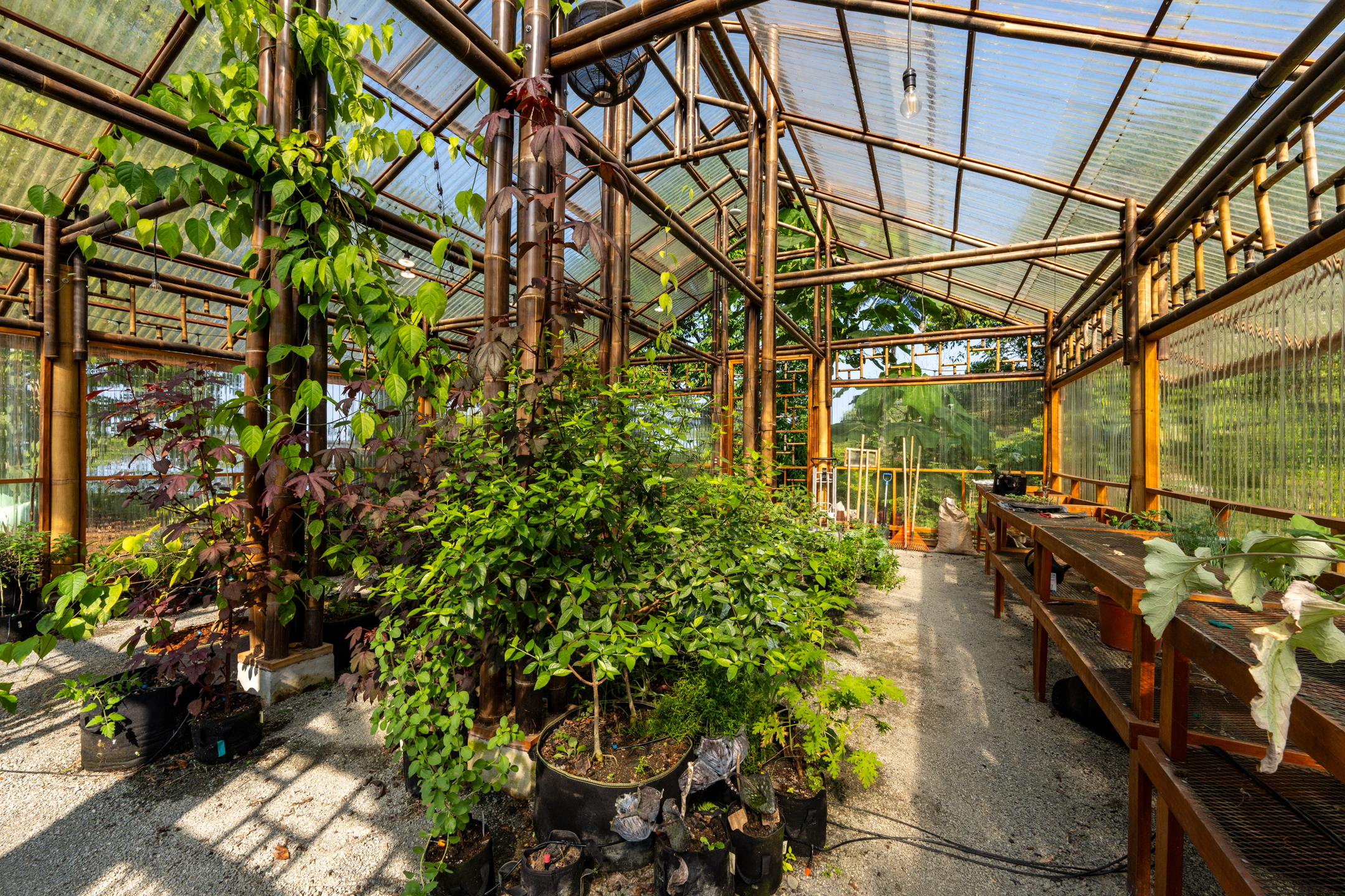 0 bed Land For Sale in Dominical, Puntarenas - thumb 3