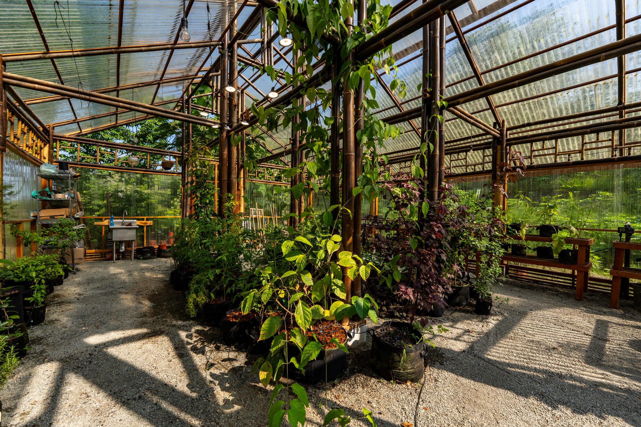 0 bed Land For Sale in Dominical, Puntarenas - thumb 16