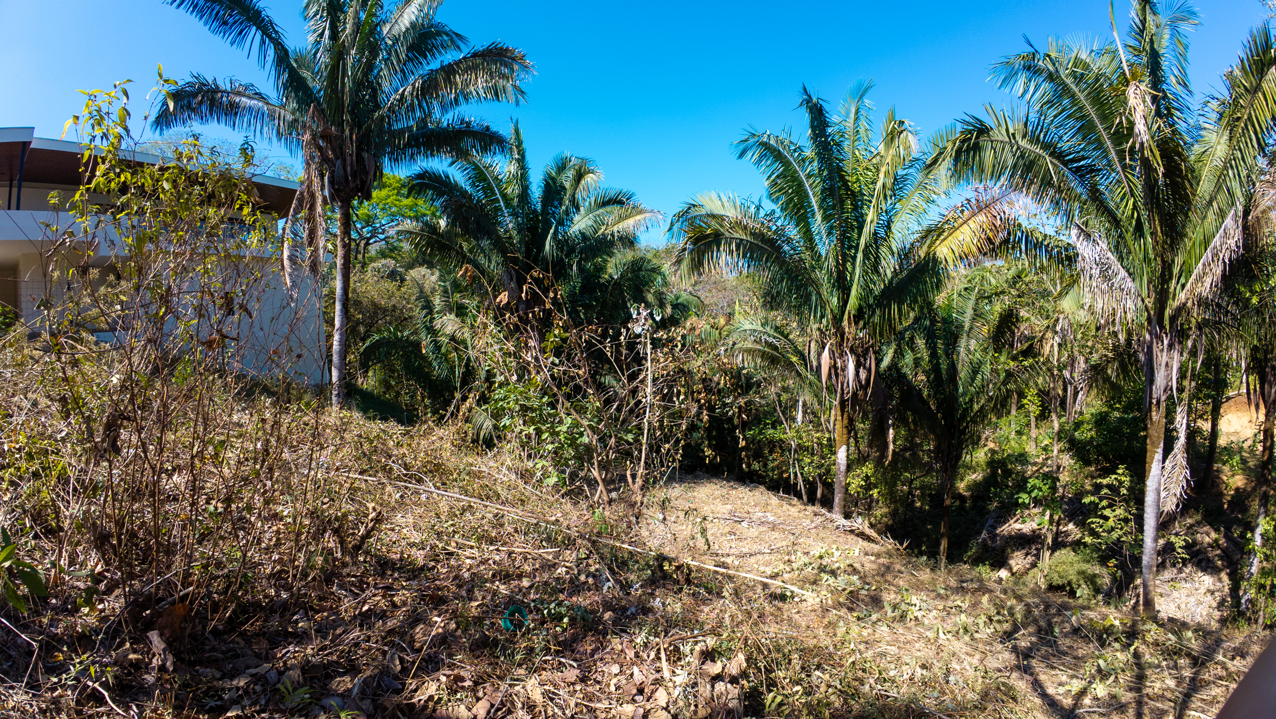 0 bed Land For Sale in Nosara, Guanacaste - thumb 12