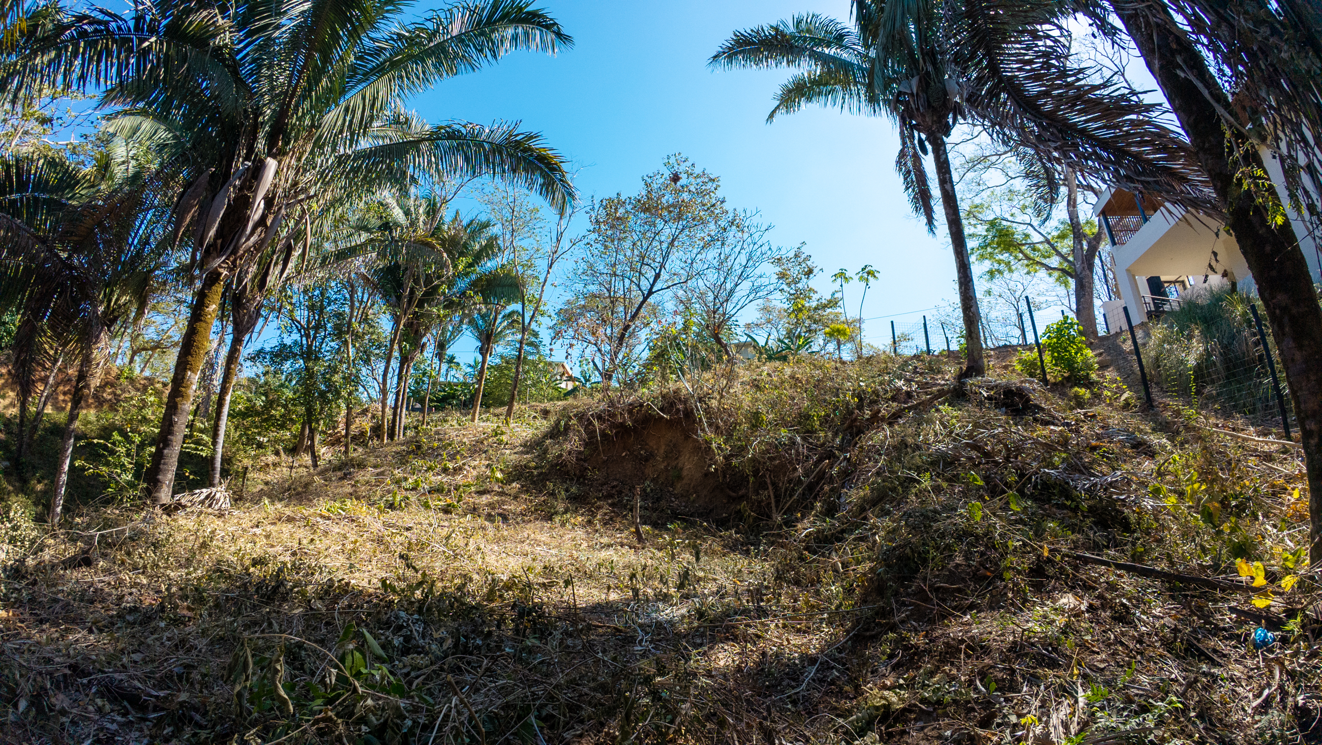 0 bed Land For Sale in Nosara, Guanacaste - thumb 18