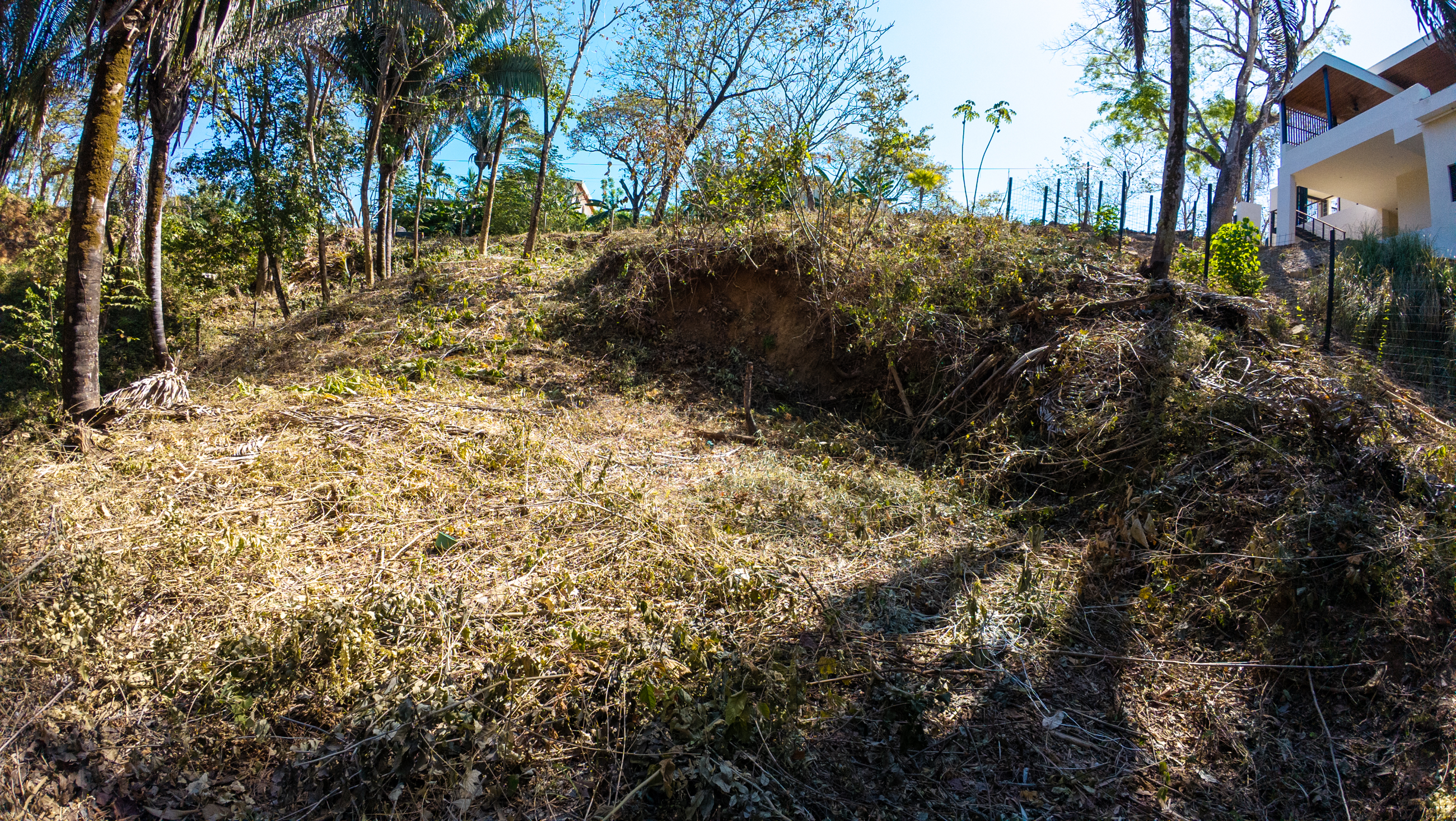 0 bed Land For Sale in Nosara, Guanacaste - thumb 16