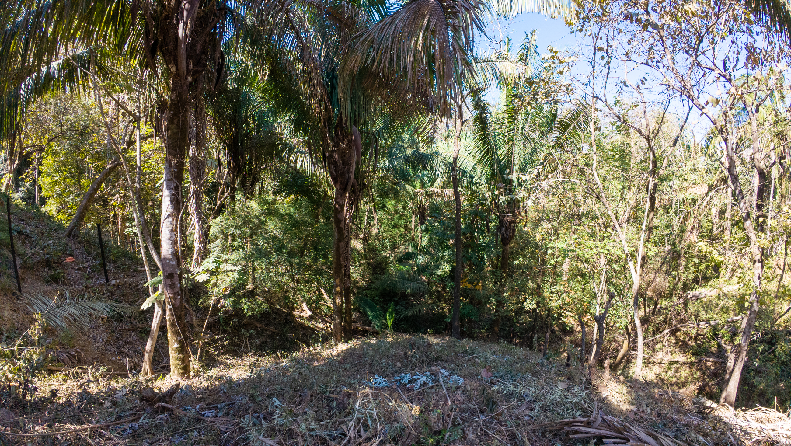 0 bed Land For Sale in Nosara, Guanacaste - thumb 17