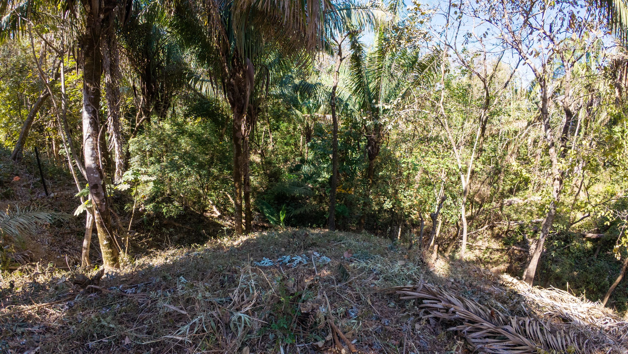 0 bed Land For Sale in Nosara, Guanacaste - thumb 14