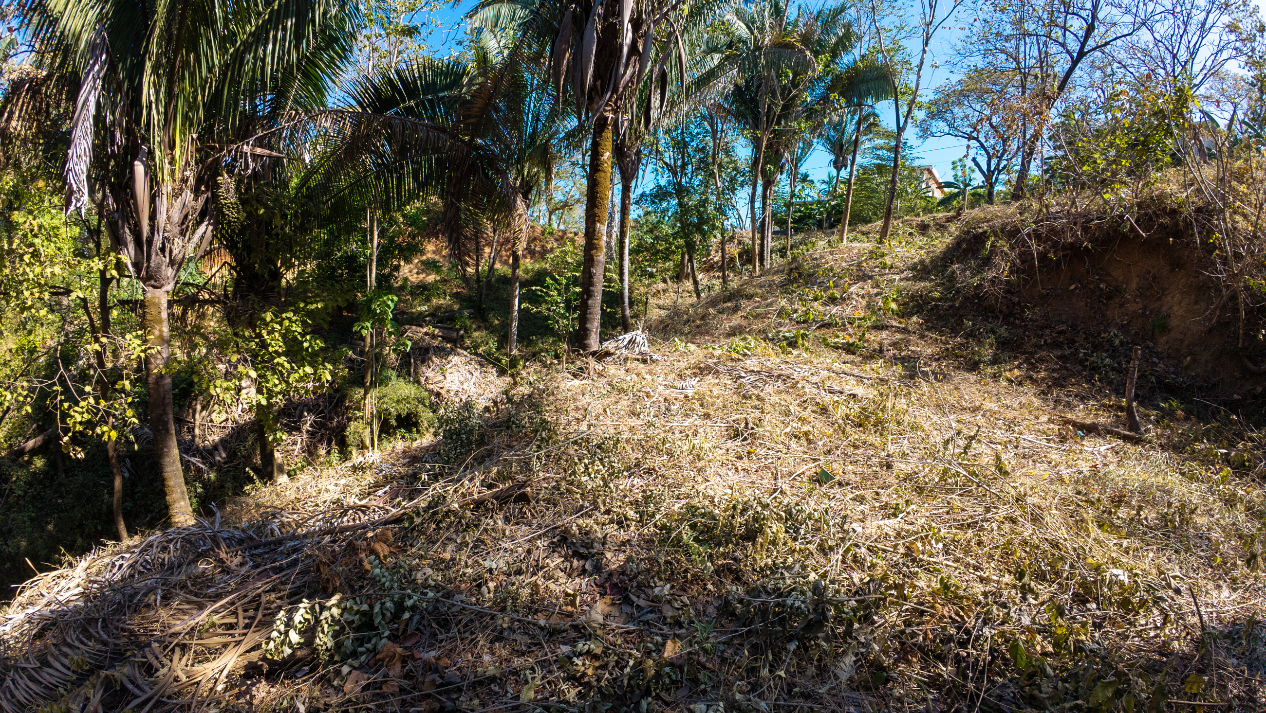 0 bed Land For Sale in Nosara, Guanacaste - thumb 15