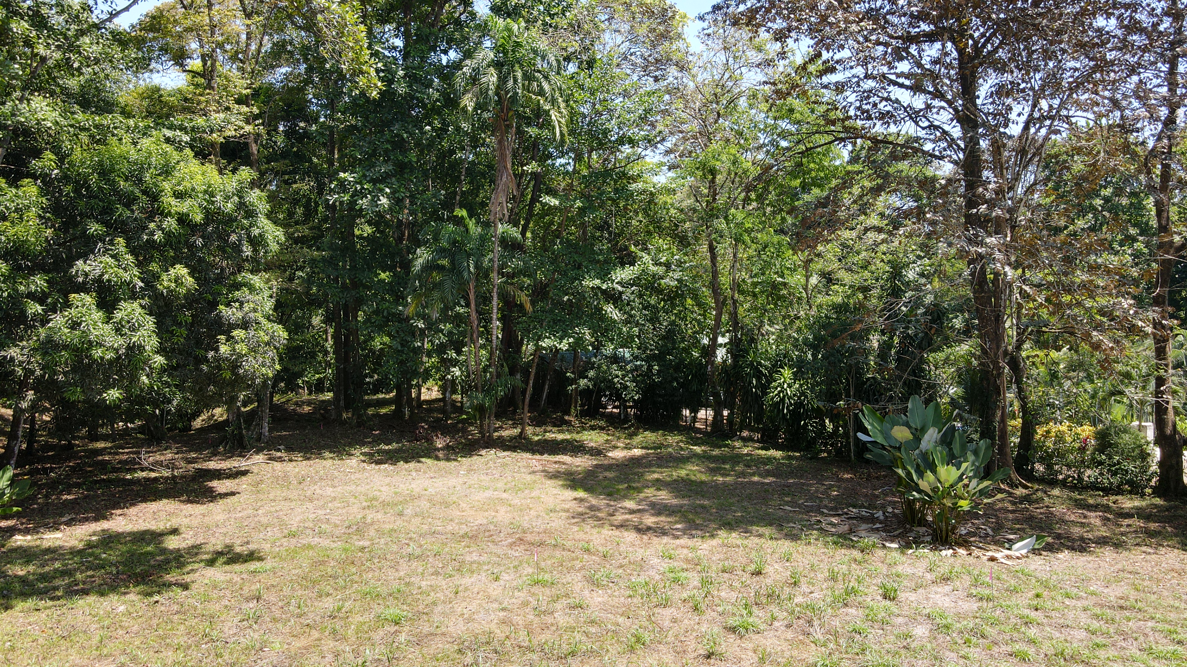 0 bed Land For Sale in Ojochal, Puntarenas - thumb 7