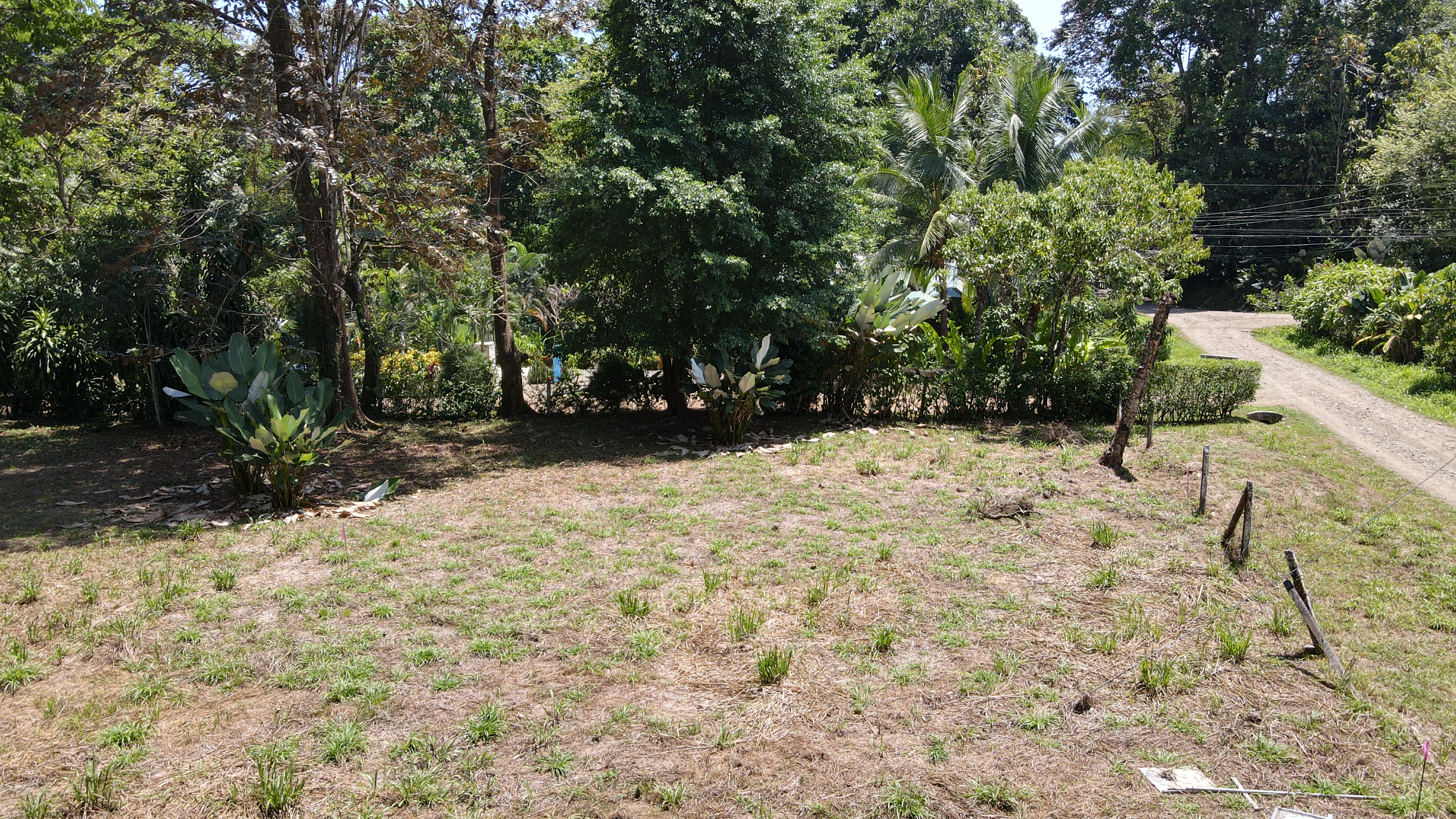 0 bed Land For Sale in Ojochal, Puntarenas - thumb 5