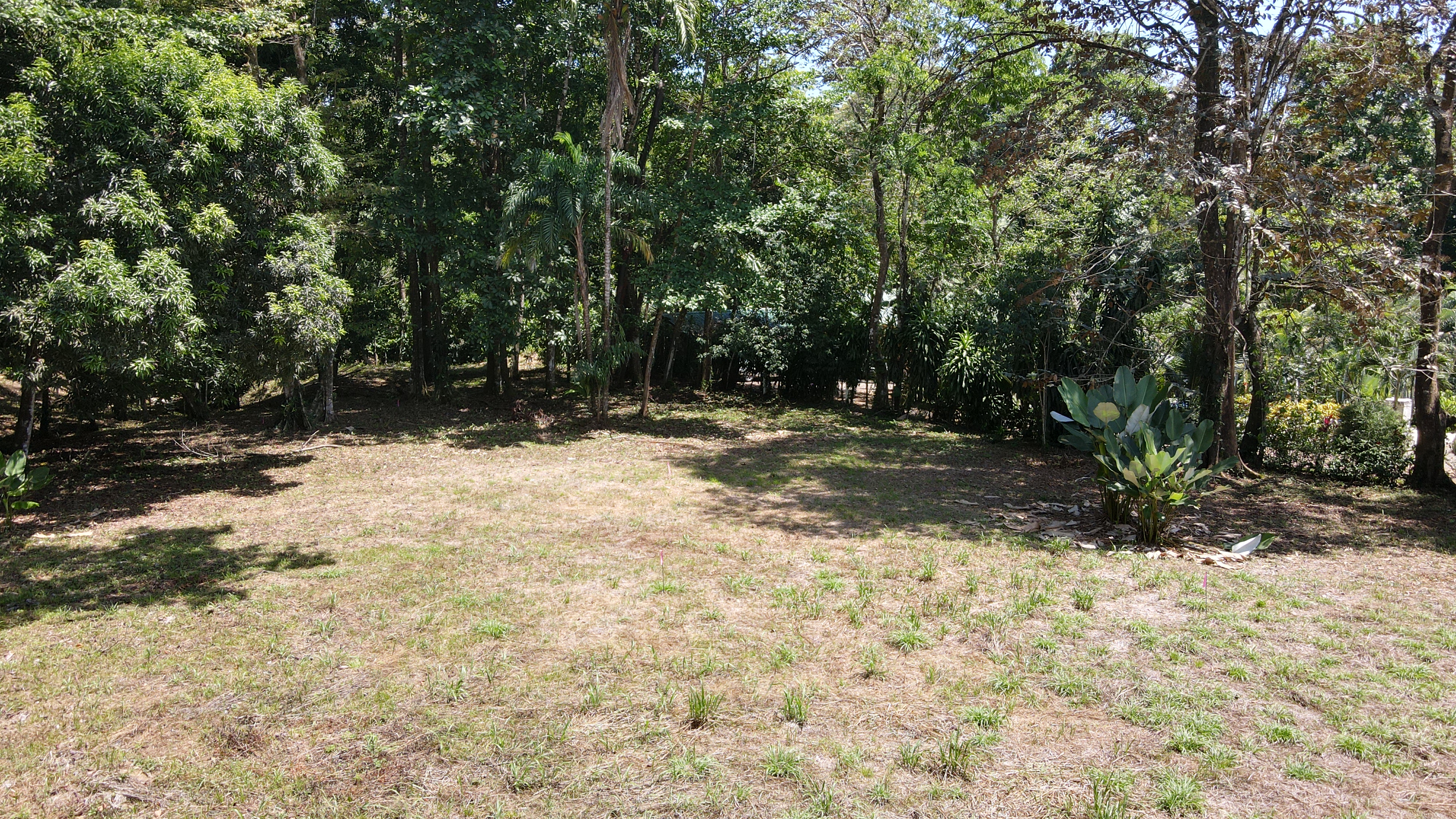 0 bed Land For Sale in Ojochal, Puntarenas - thumb 6