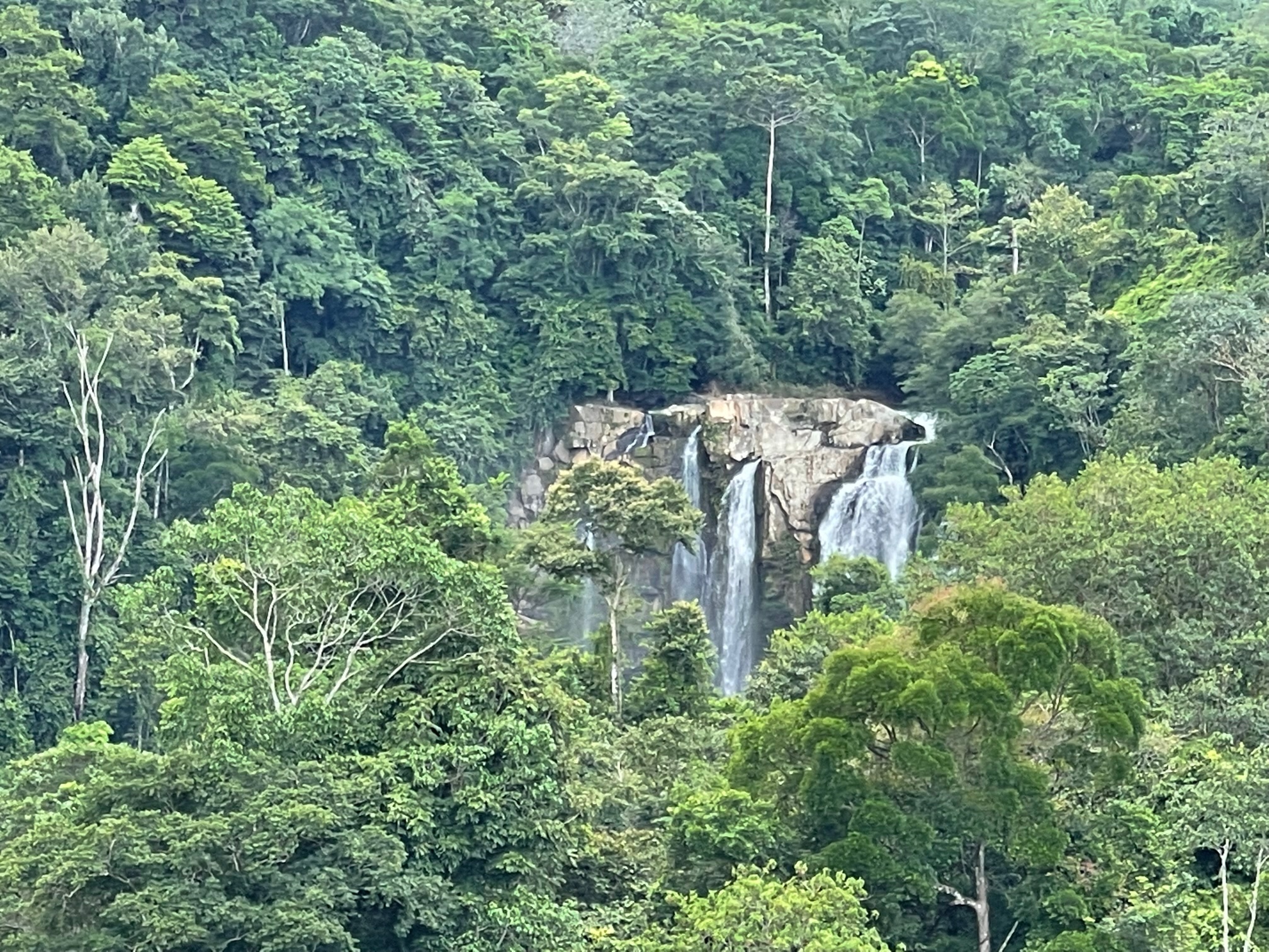 0 bed Land For Sale in Dominical, Puntarenas - thumb 7