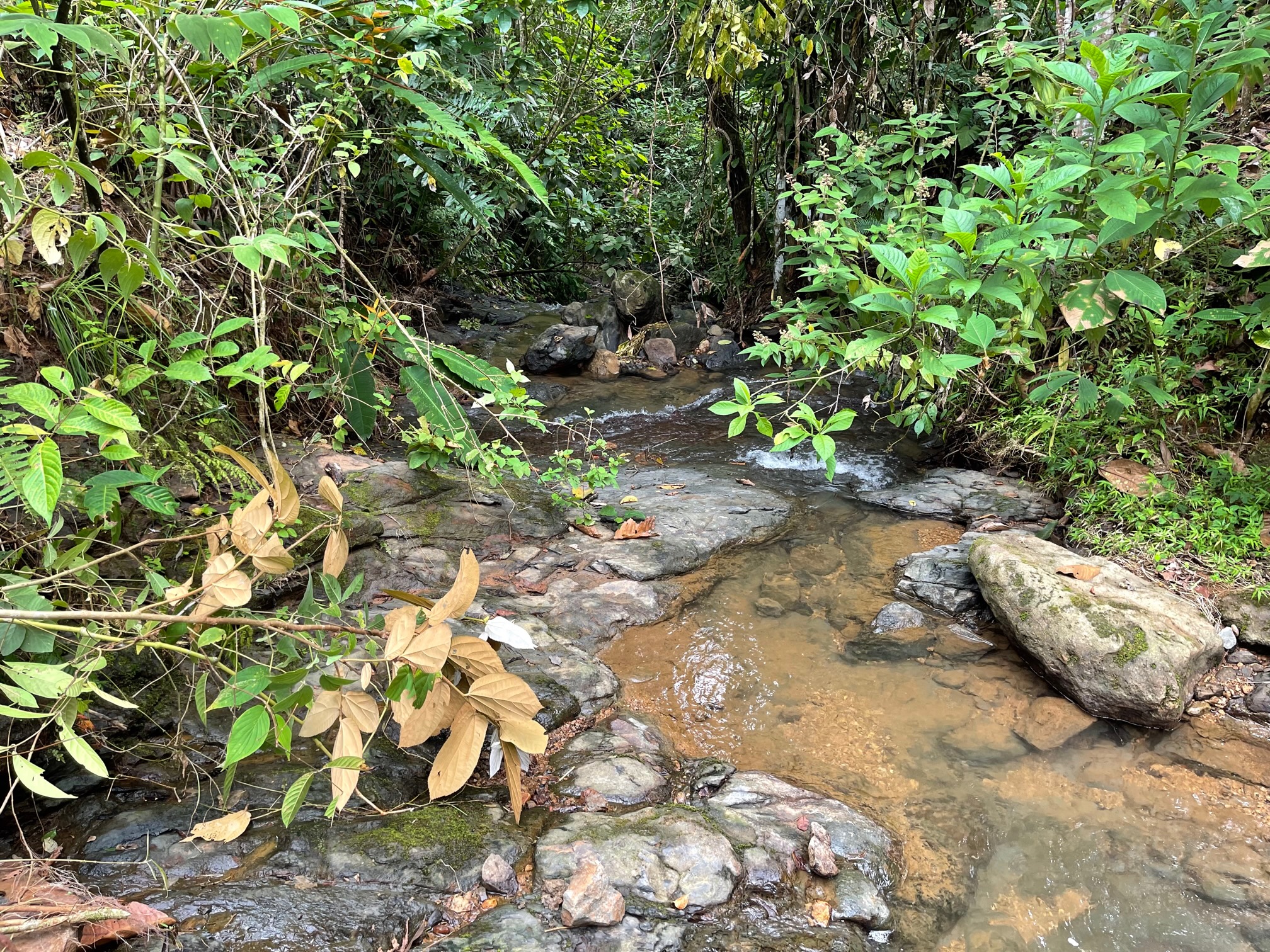 0 bed Land For Sale in Dominical, Puntarenas - thumb 18