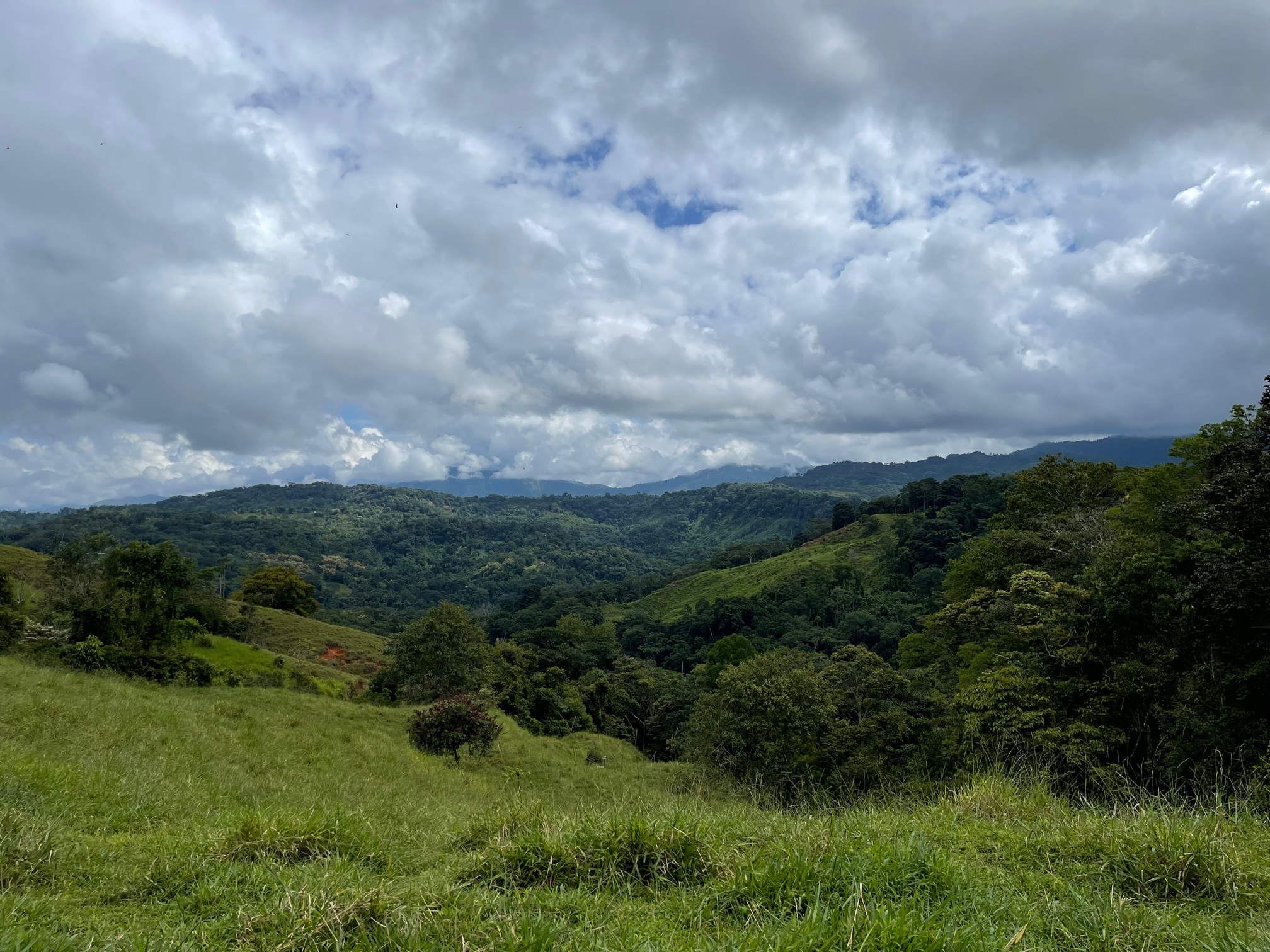 0 bed Land For Sale in Dominical, Puntarenas - thumb 14