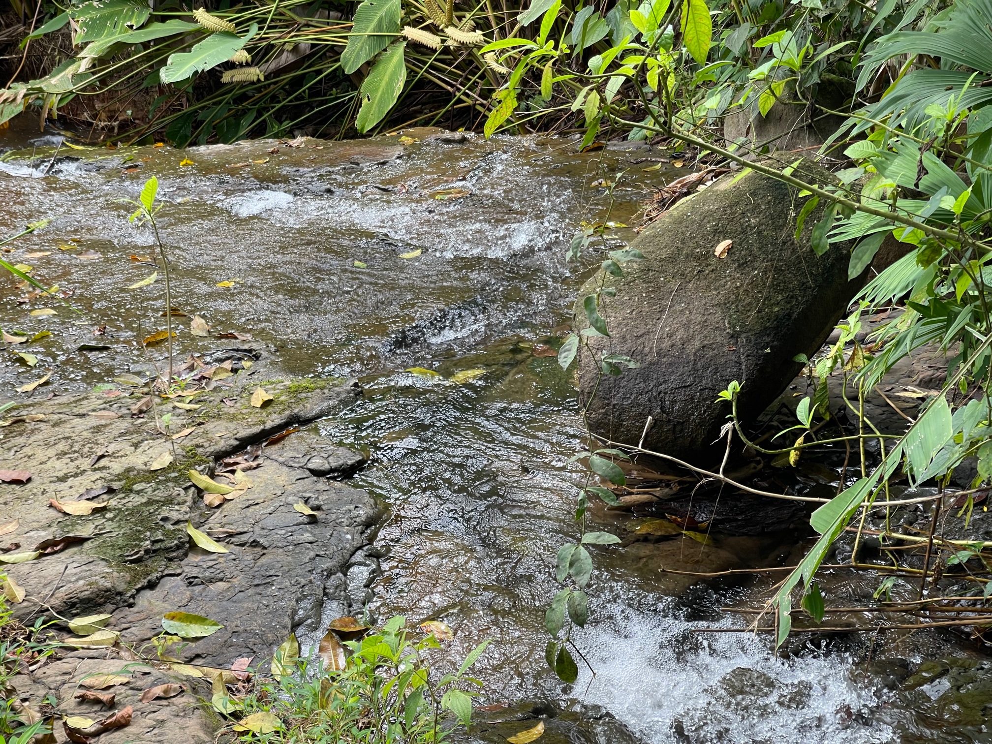 0 bed Land For Sale in Dominical, Puntarenas - thumb 19