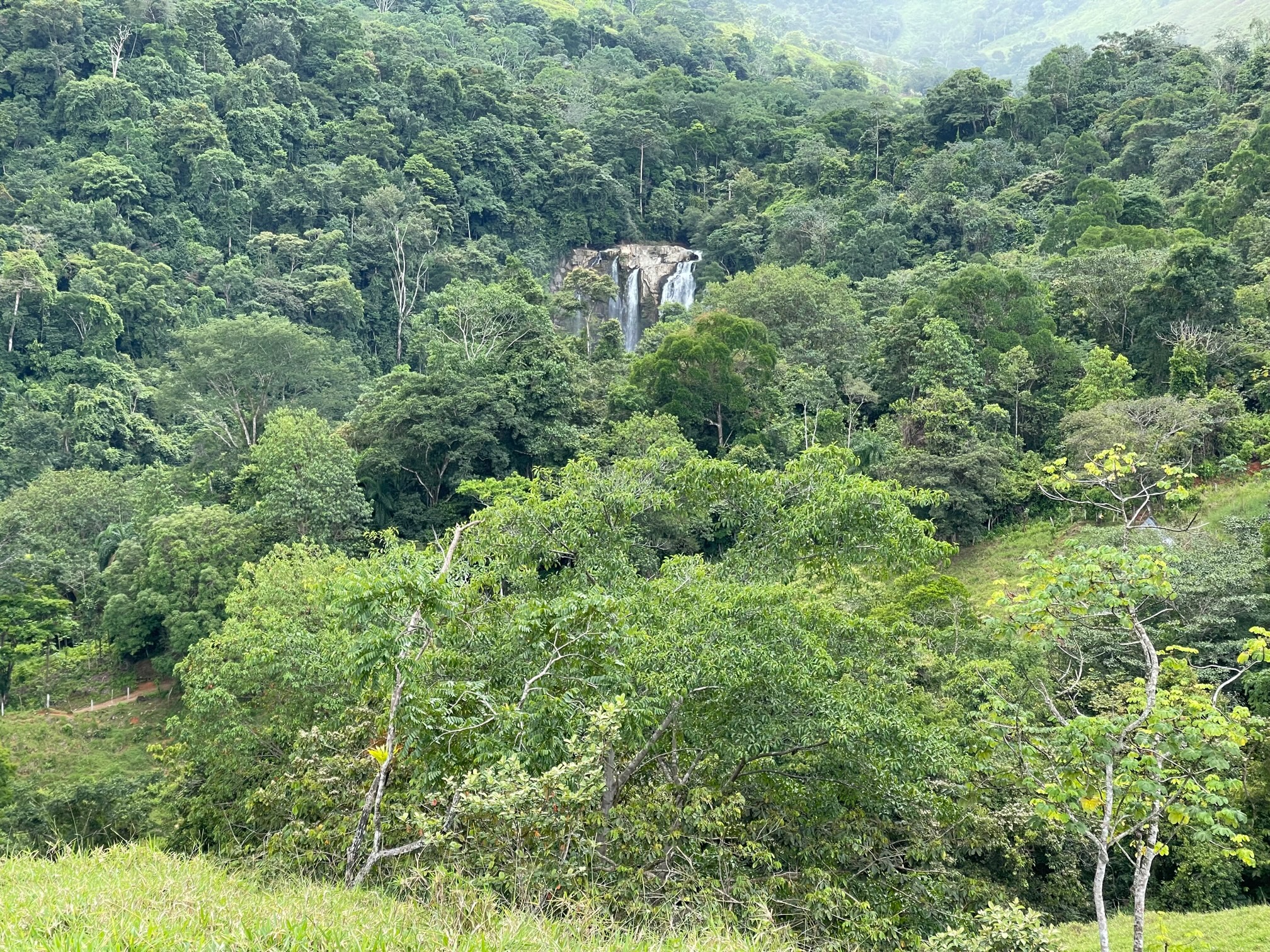 0 bed Land For Sale in Dominical, Puntarenas - thumb 2