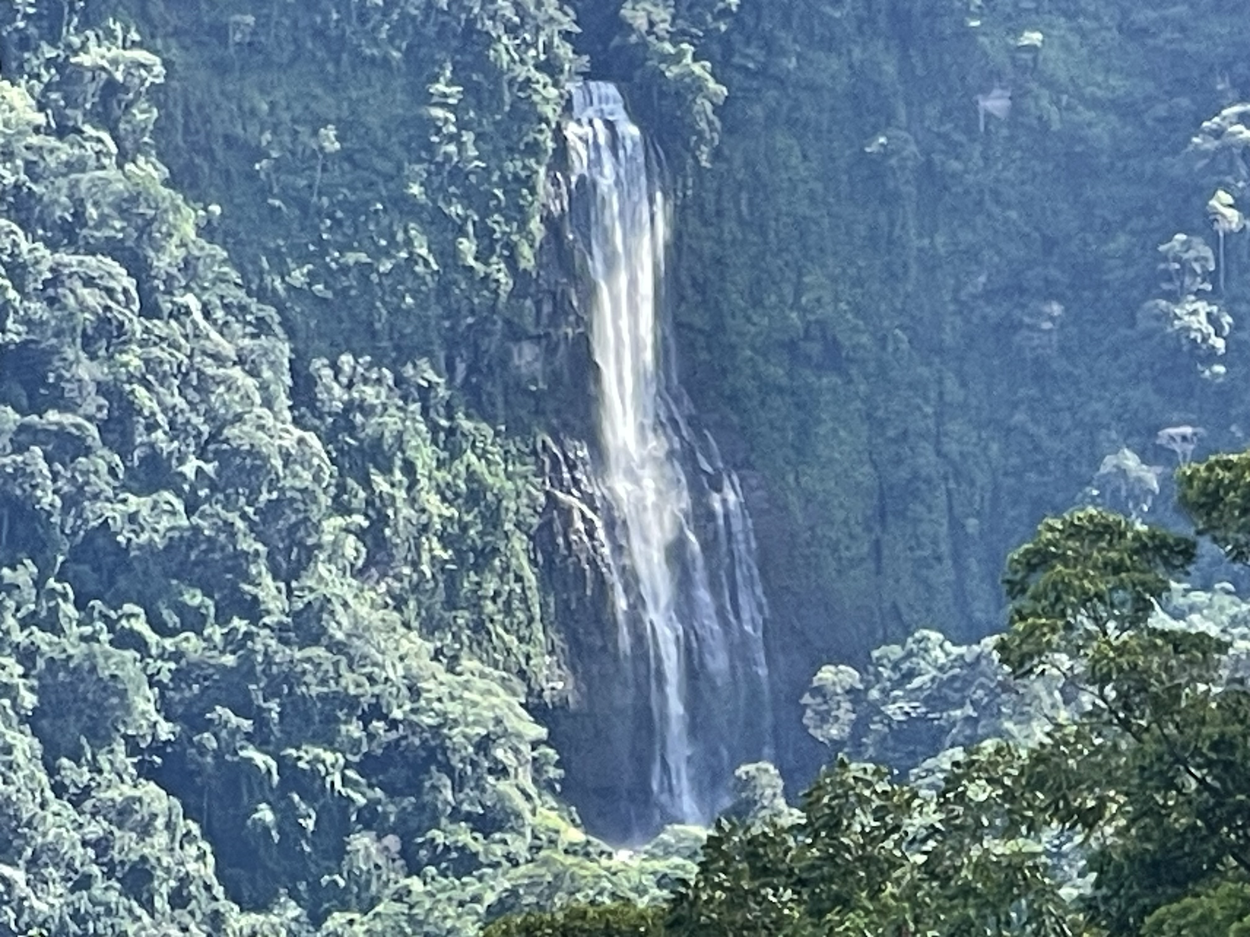 0 bed Land For Sale in Dominical, Puntarenas - thumb 5