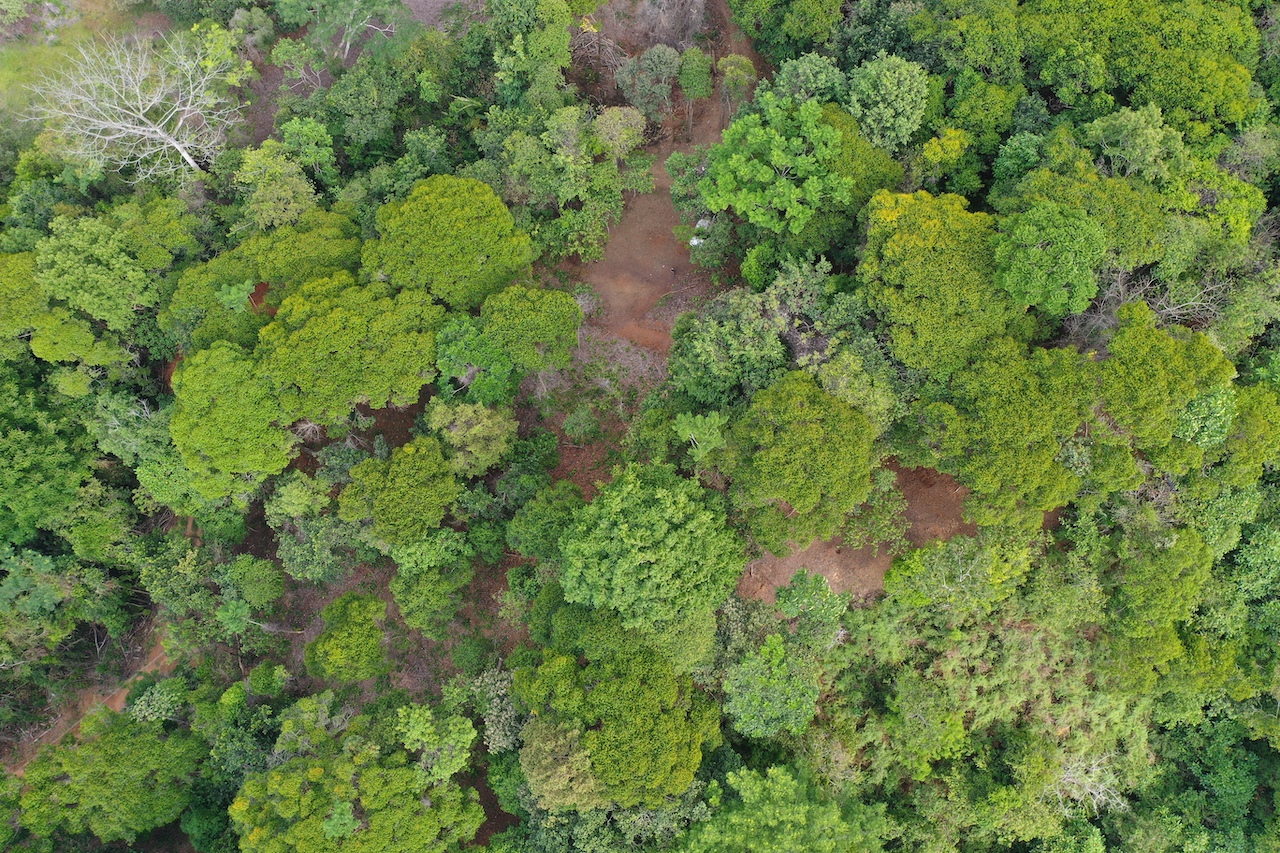 0 bed Land For Sale in Dominical, Puntarenas - thumb 16