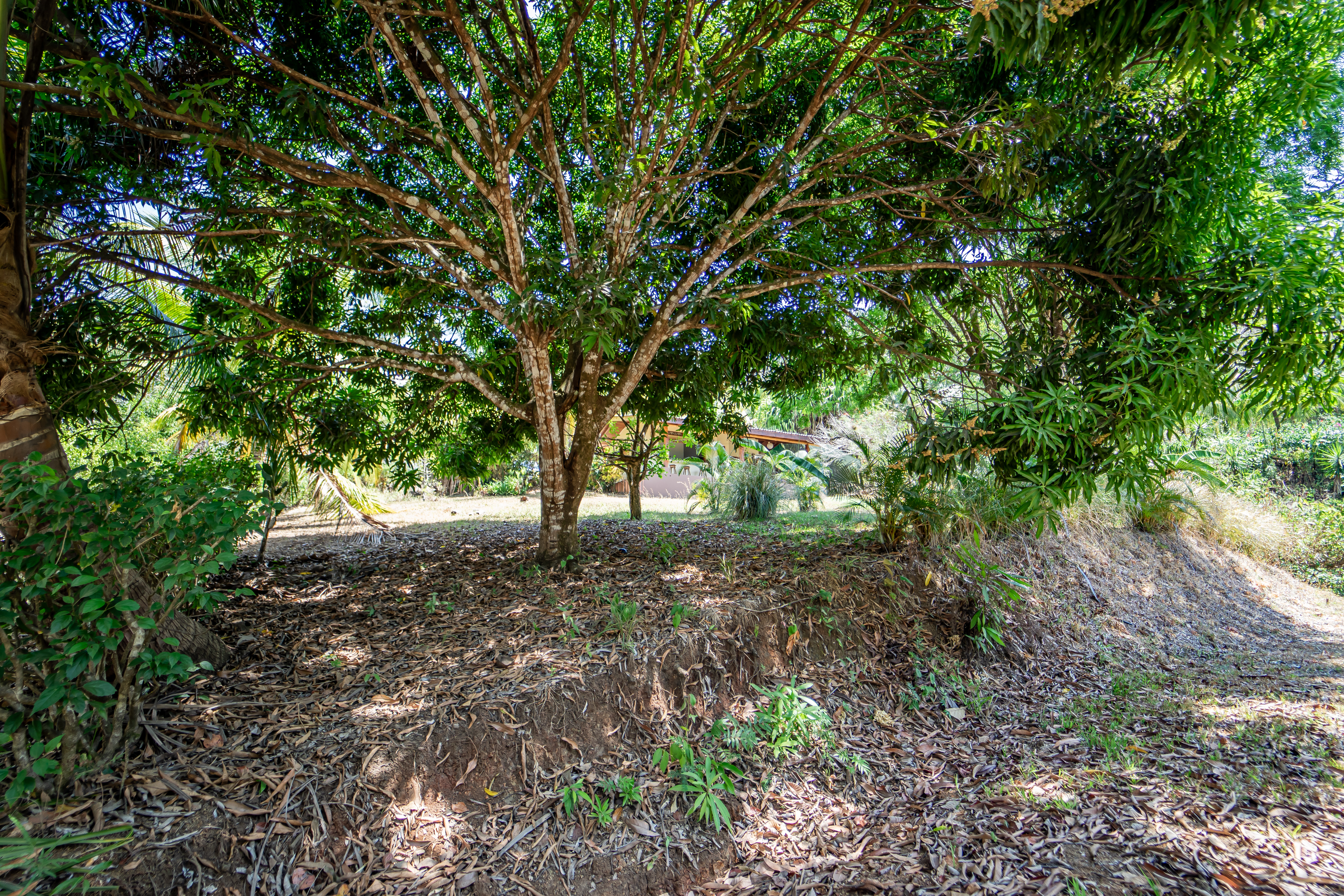 5 bed Single Family Homes For Sale in Samara, Guanacaste - thumb 30