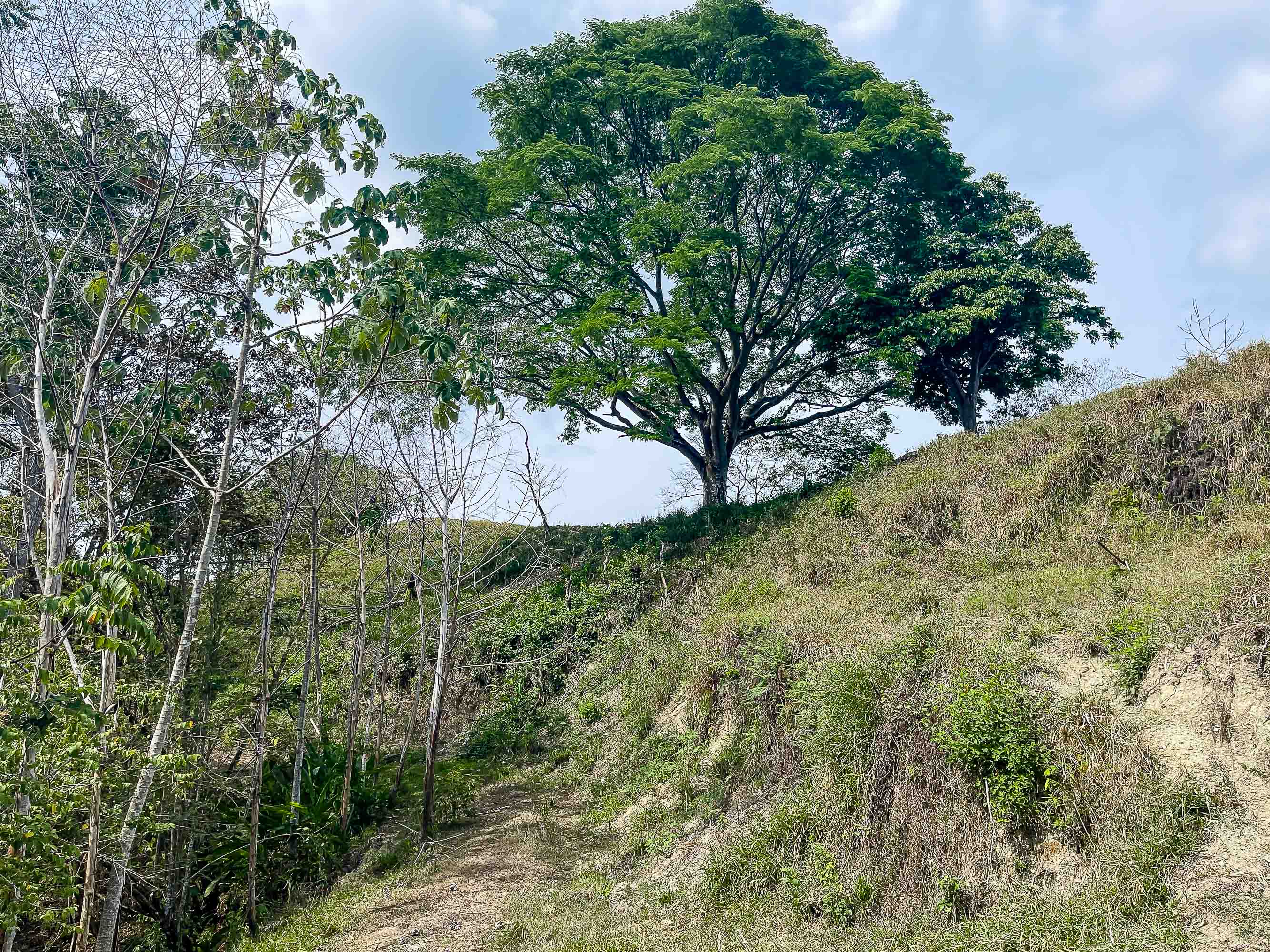 0 bed Land For Sale in Quepos, Puntarenas - thumb 5